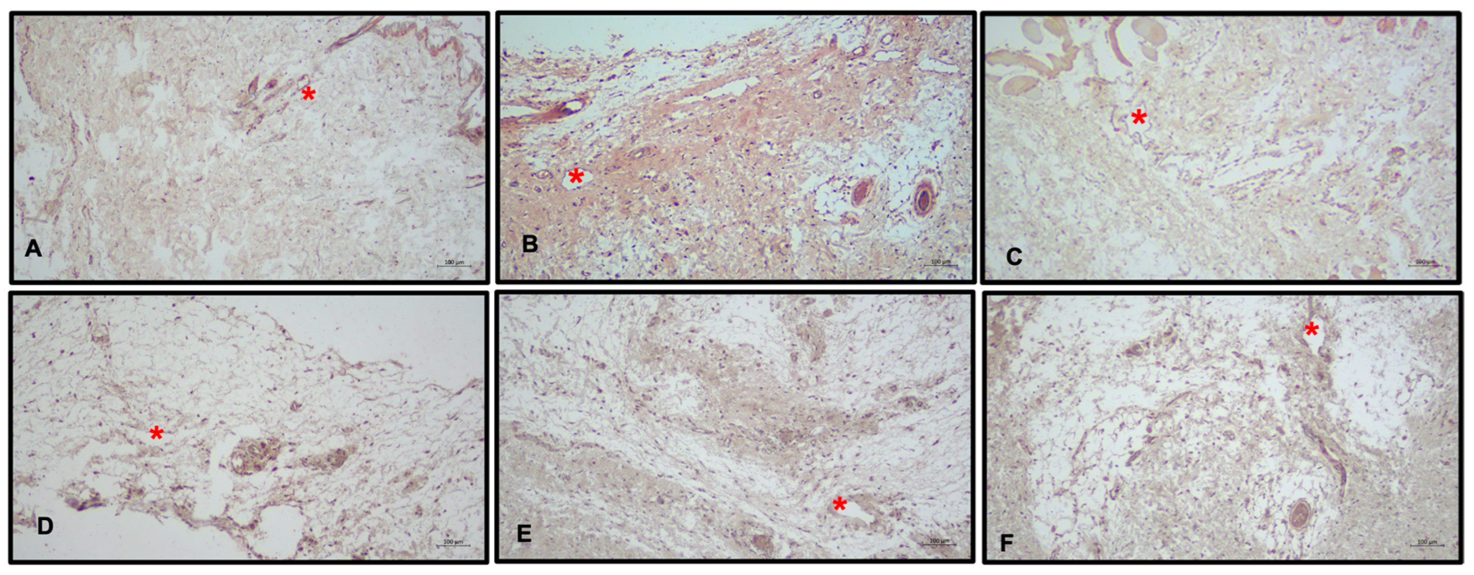 Medicina 60 01788 g005
