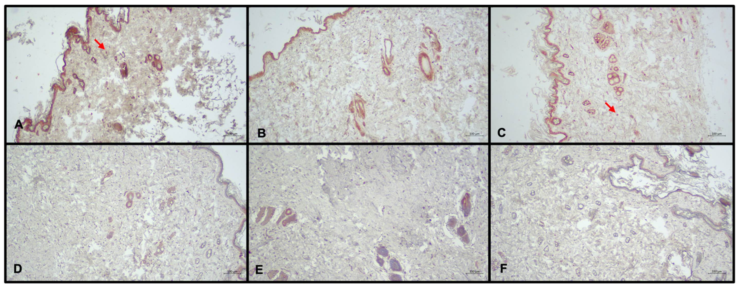 Medicina 60 01788 g006