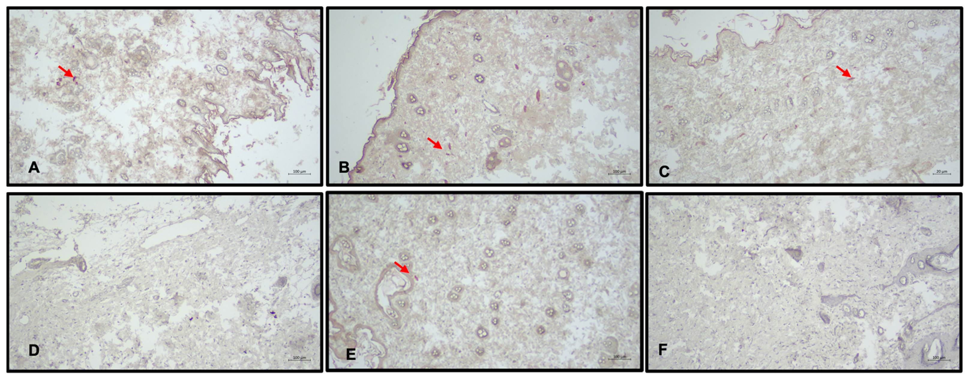 Medicina 60 01788 g007