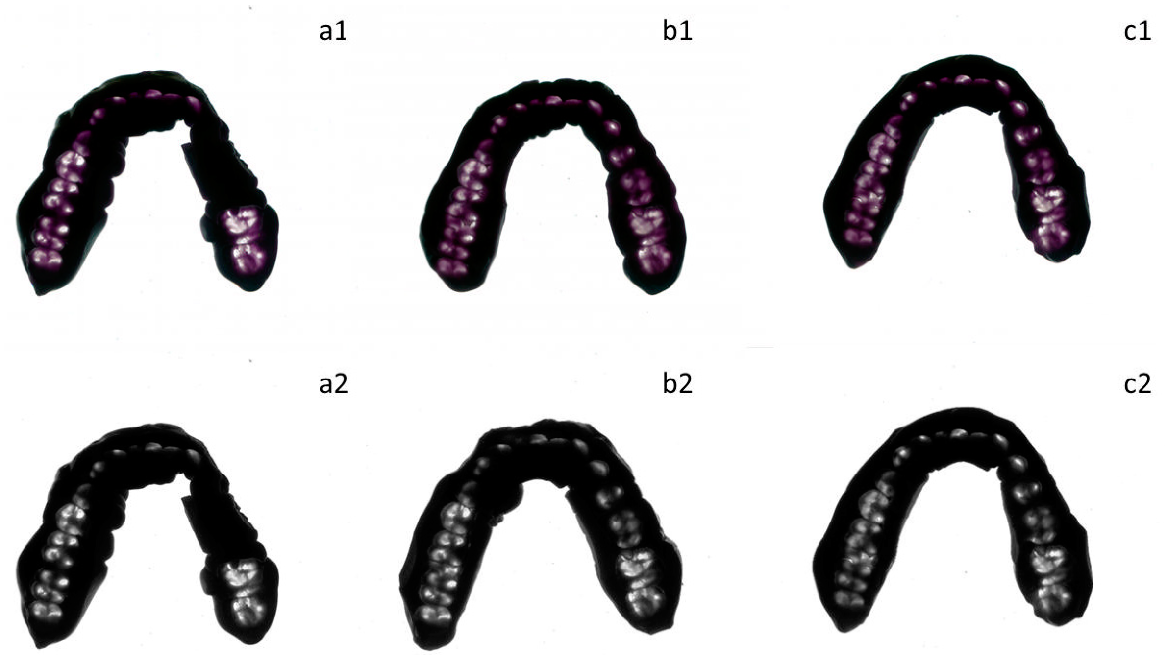 Medicina 60 01790 g002