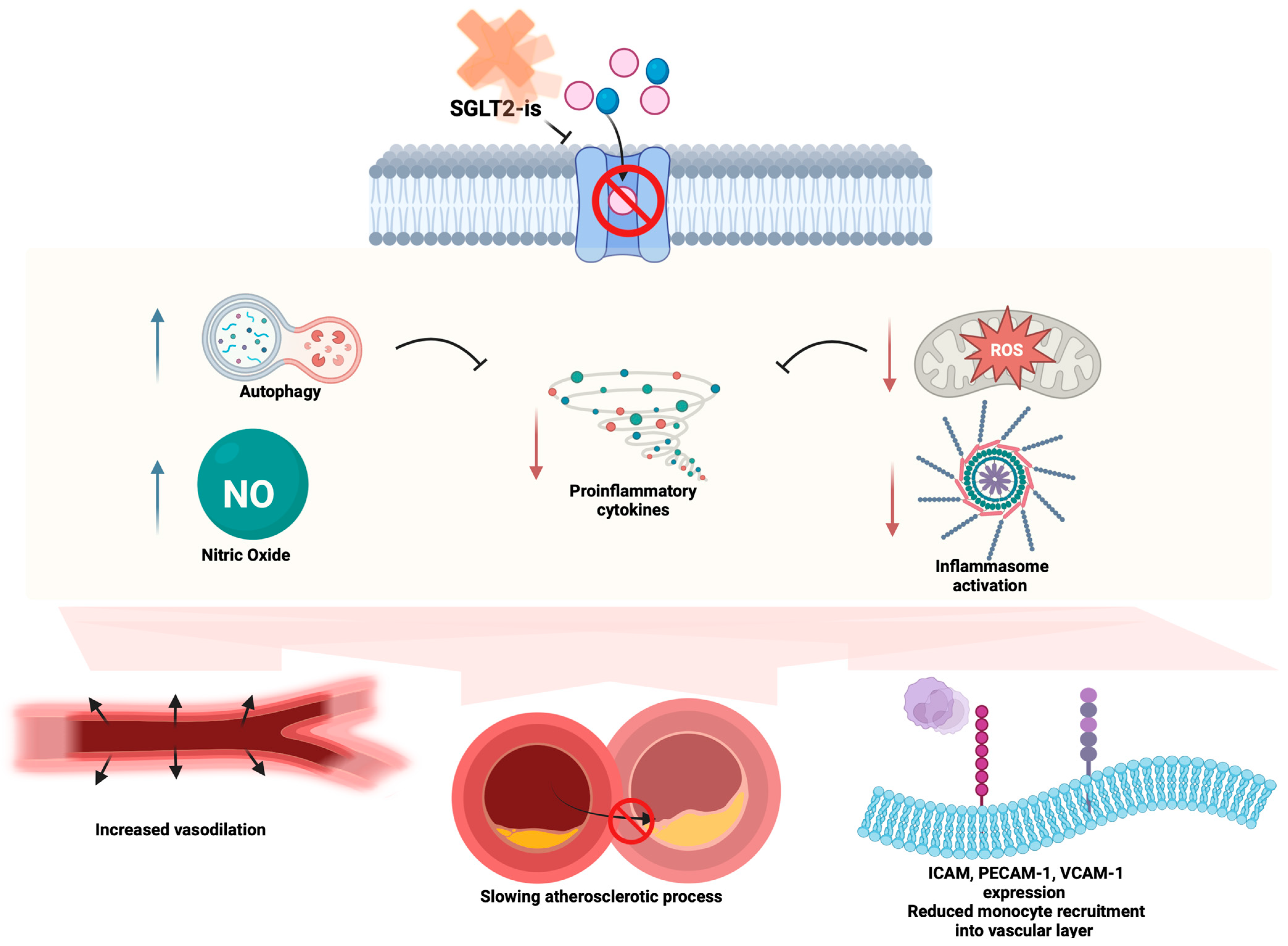 Medicina 60 01796 g001