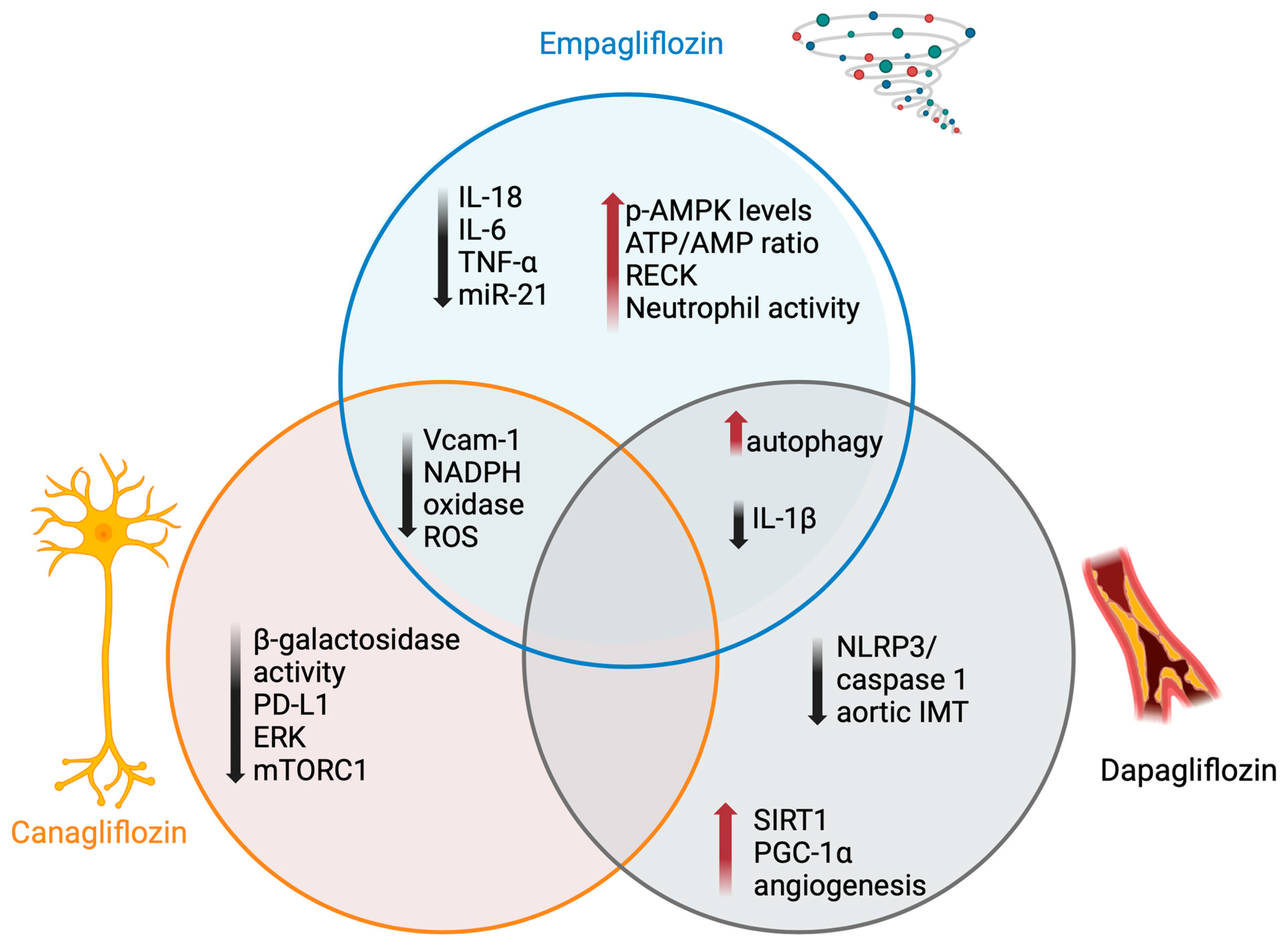 Medicina 60 01796 g003