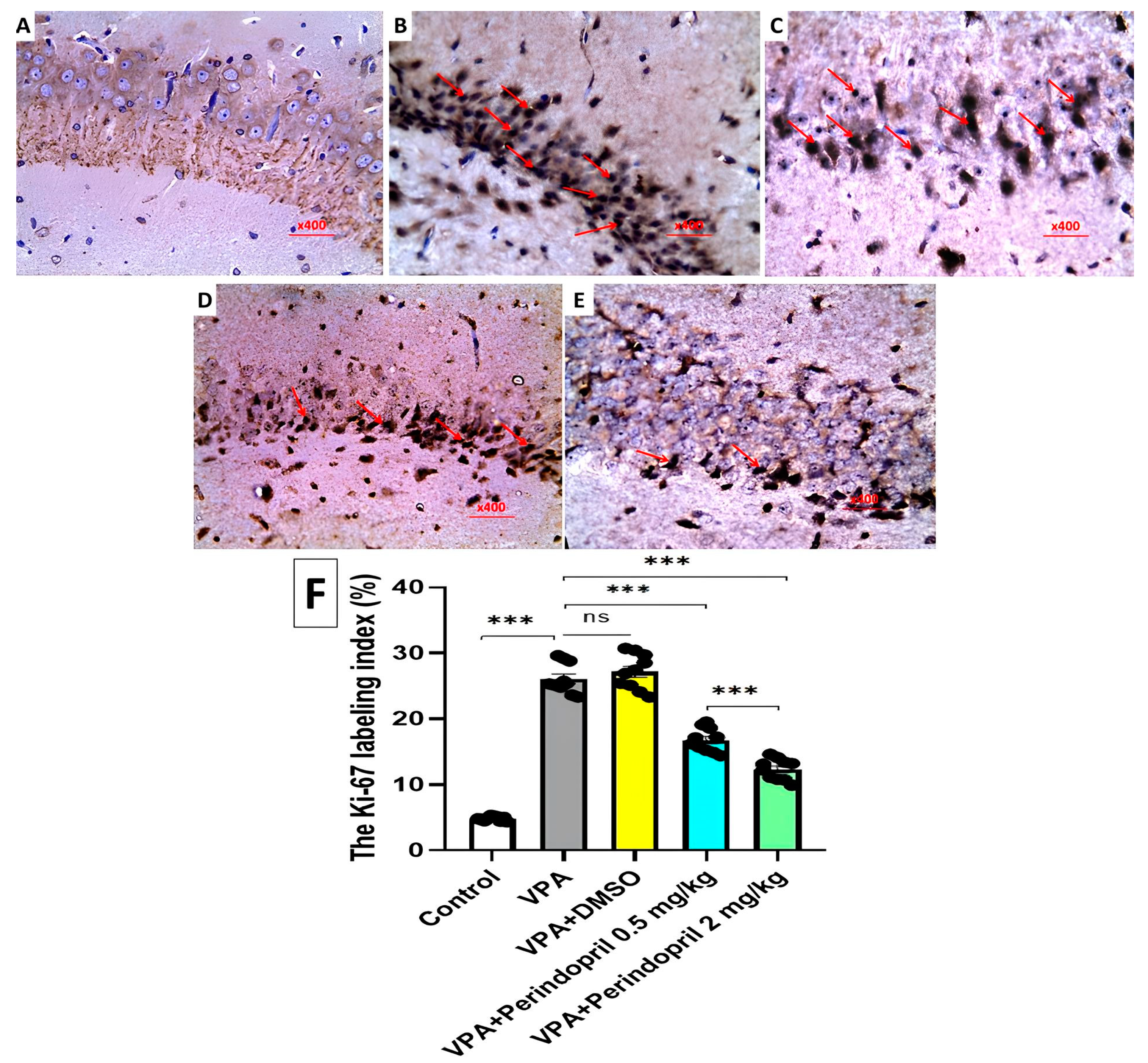 Medicina 60 01802 g015