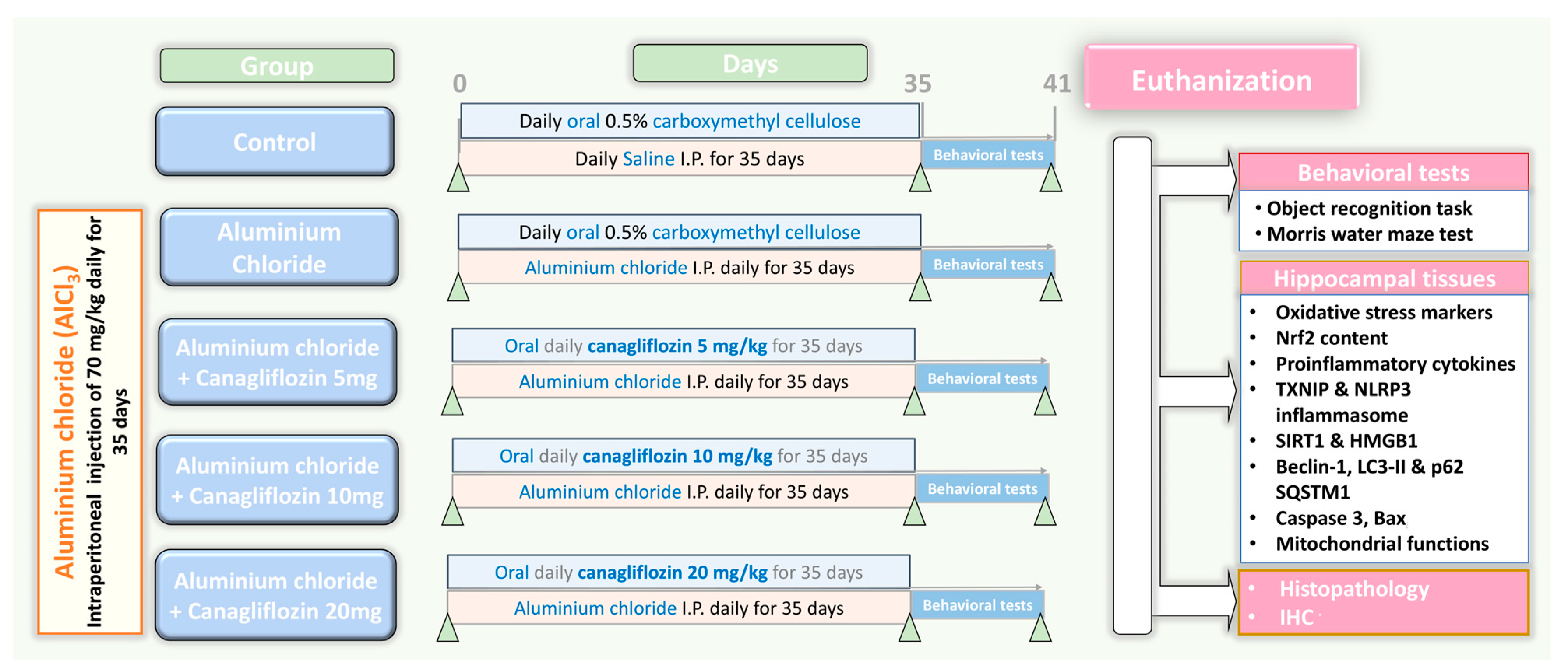 Medicina 60 01805 g001 Medicina 60 01805 g001