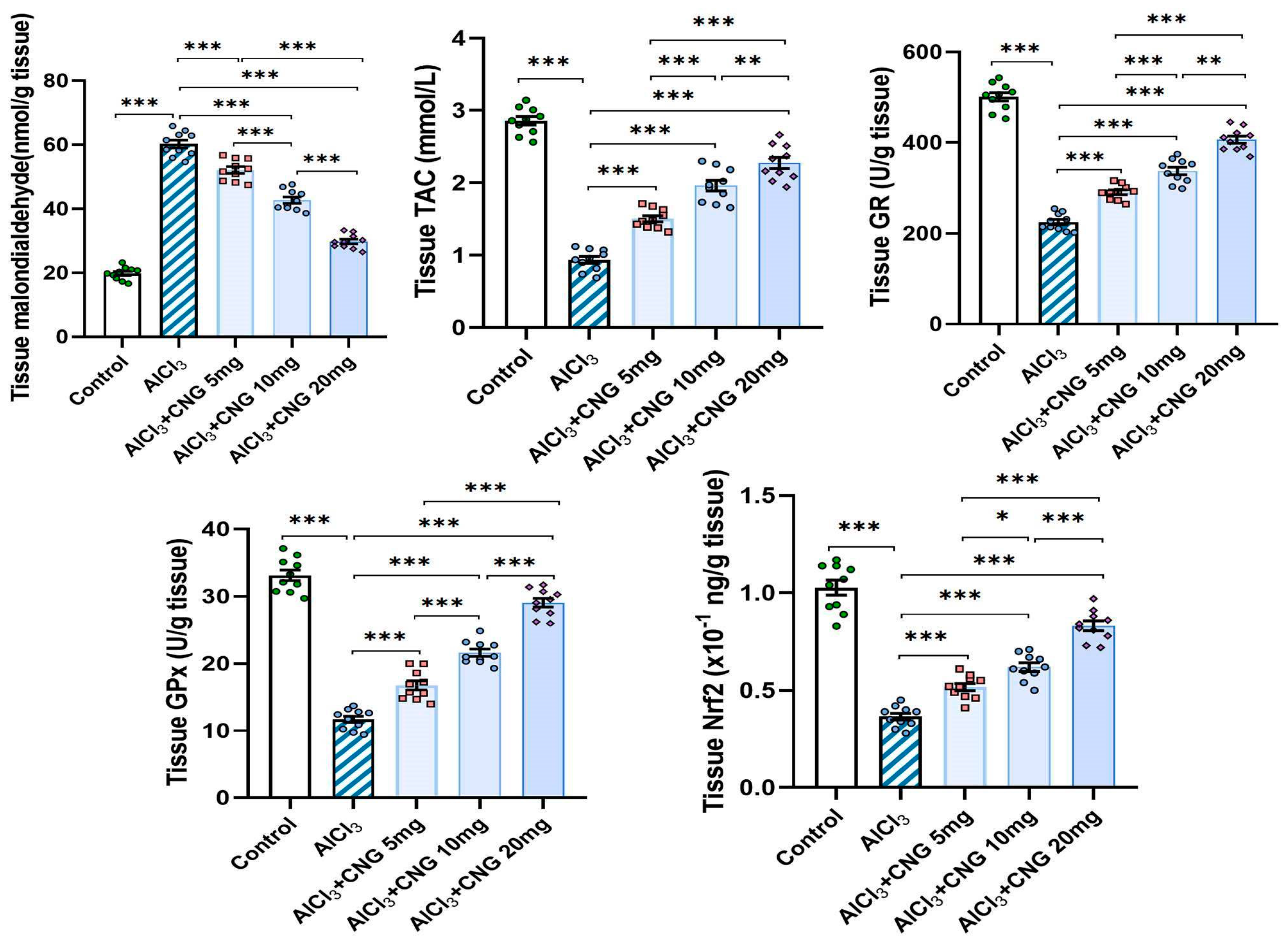 Medicina 60 01805 g004 Medicina 60 01805 g004