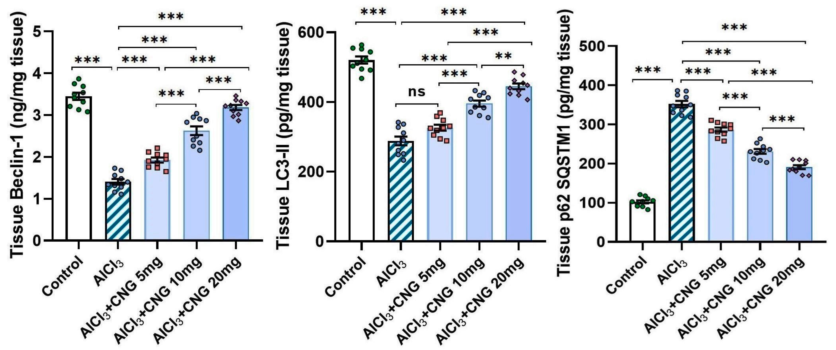 Medicina 60 01805 g008 Medicina 60 01805 g008