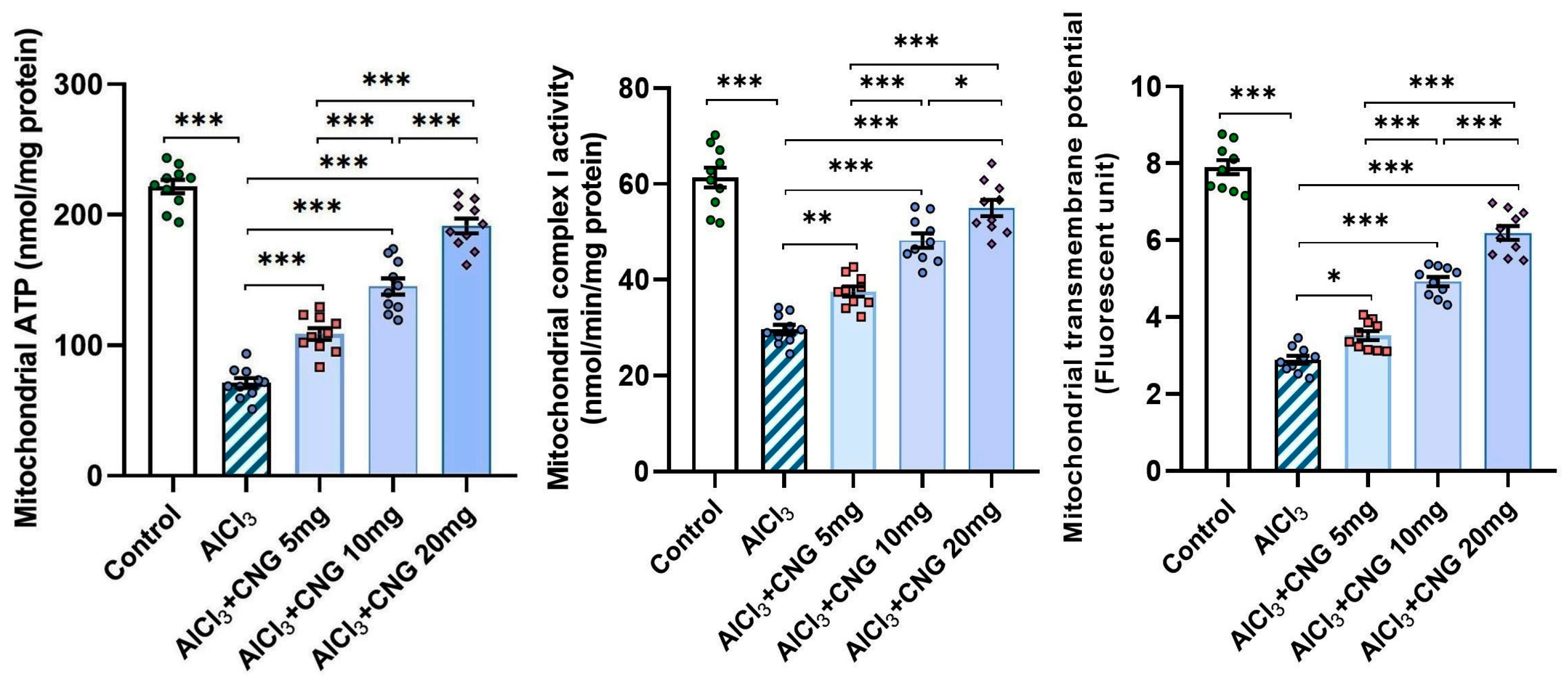 Medicina 60 01805 g010 Medicina 60 01805 g010