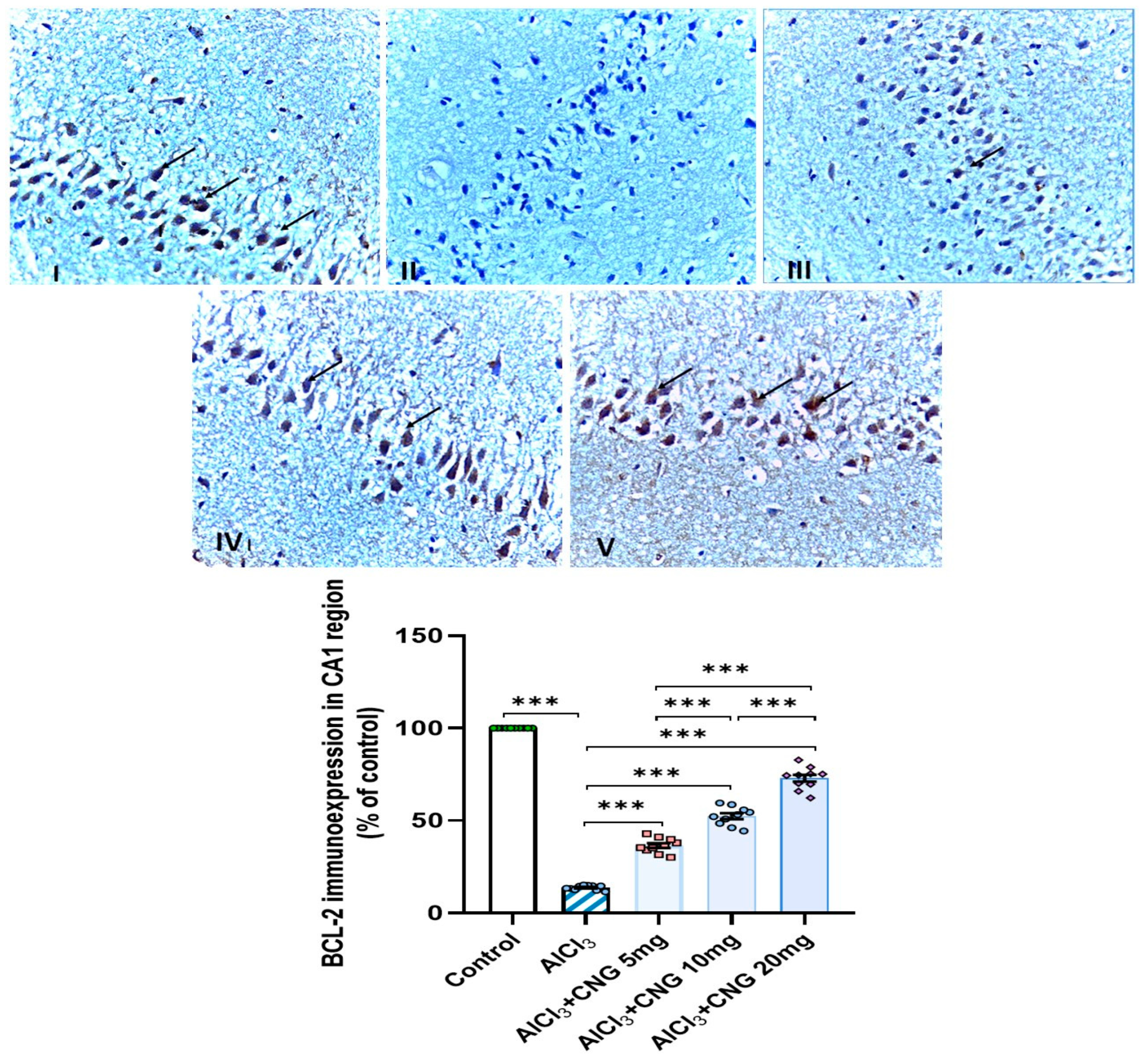 Medicina 60 01805 g012 Medicina 60 01805 g012