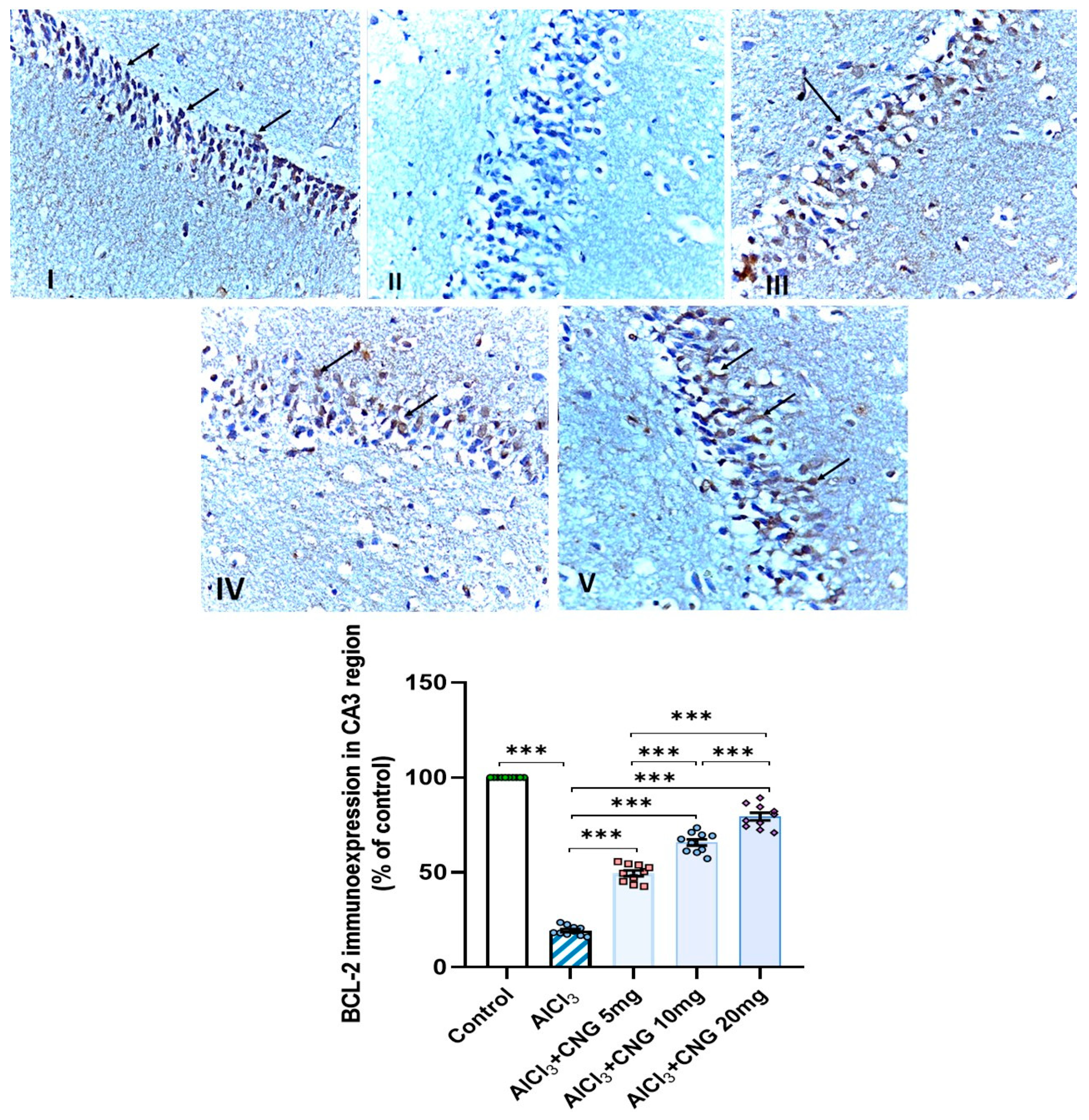 Medicina 60 01805 g013 Medicina 60 01805 g013