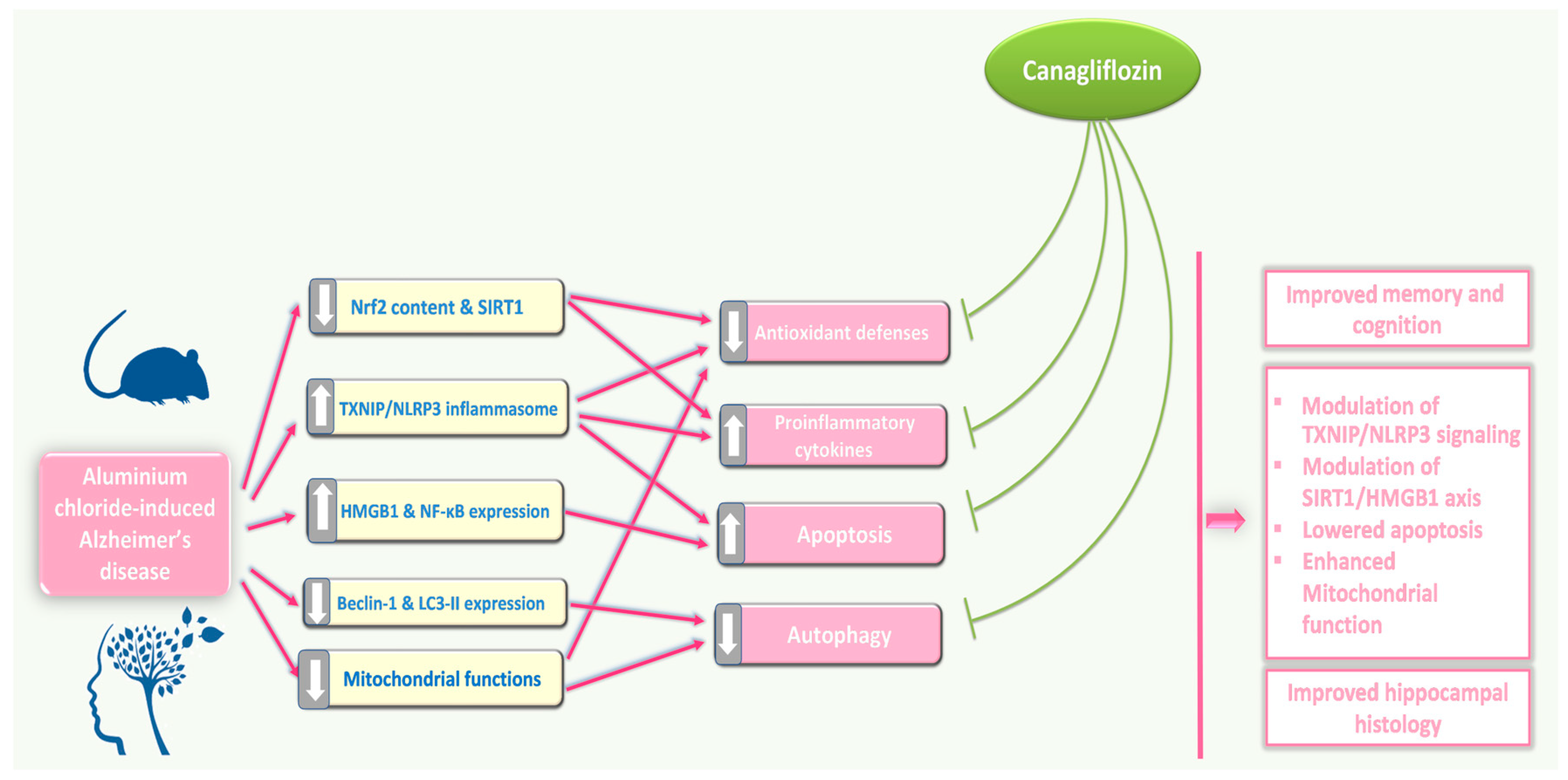 Medicina 60 01805 g015 Medicina 60 01805 g015