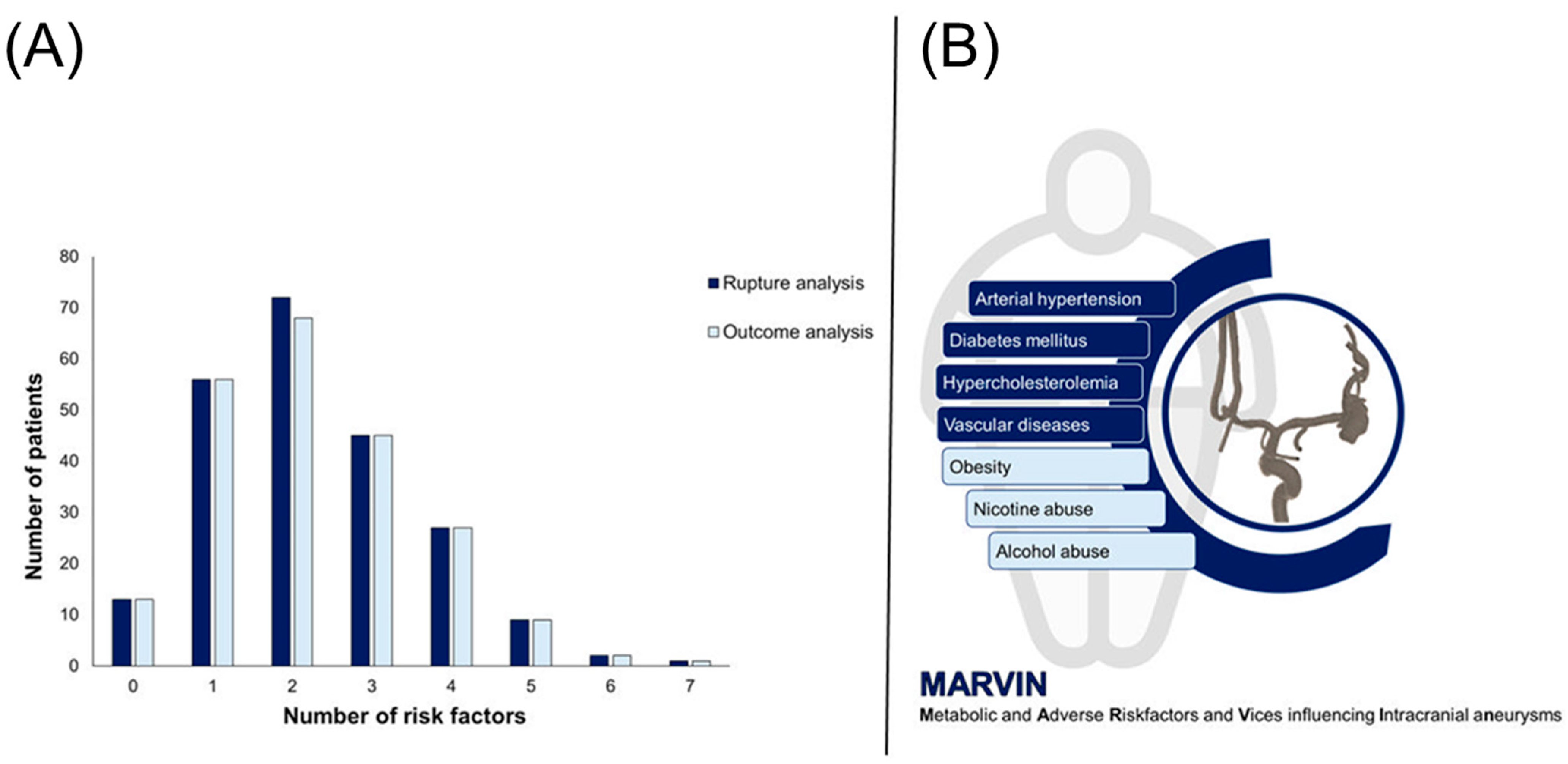Medicina 60 01813 g002