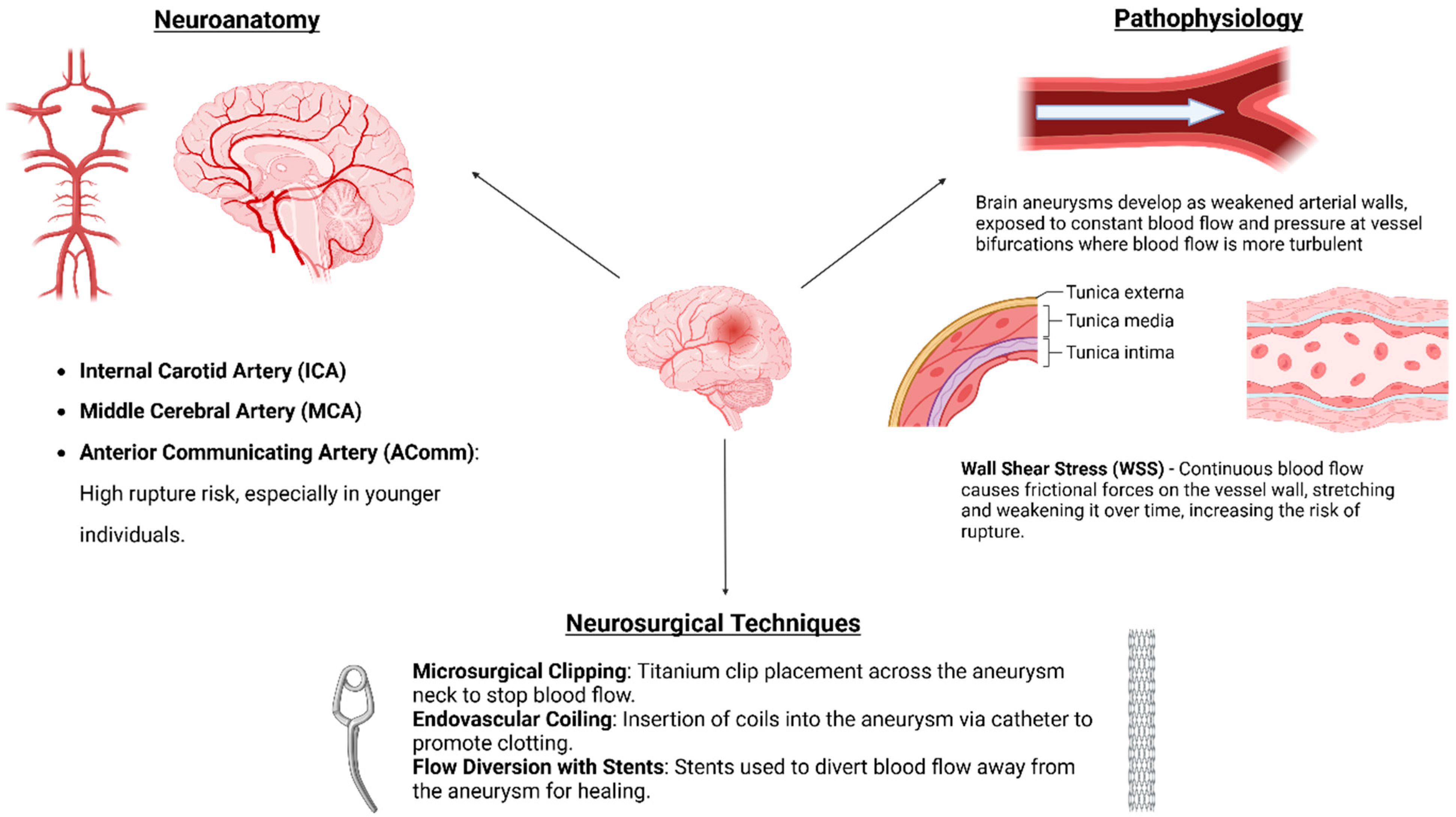 Medicina 60 01820 g001
