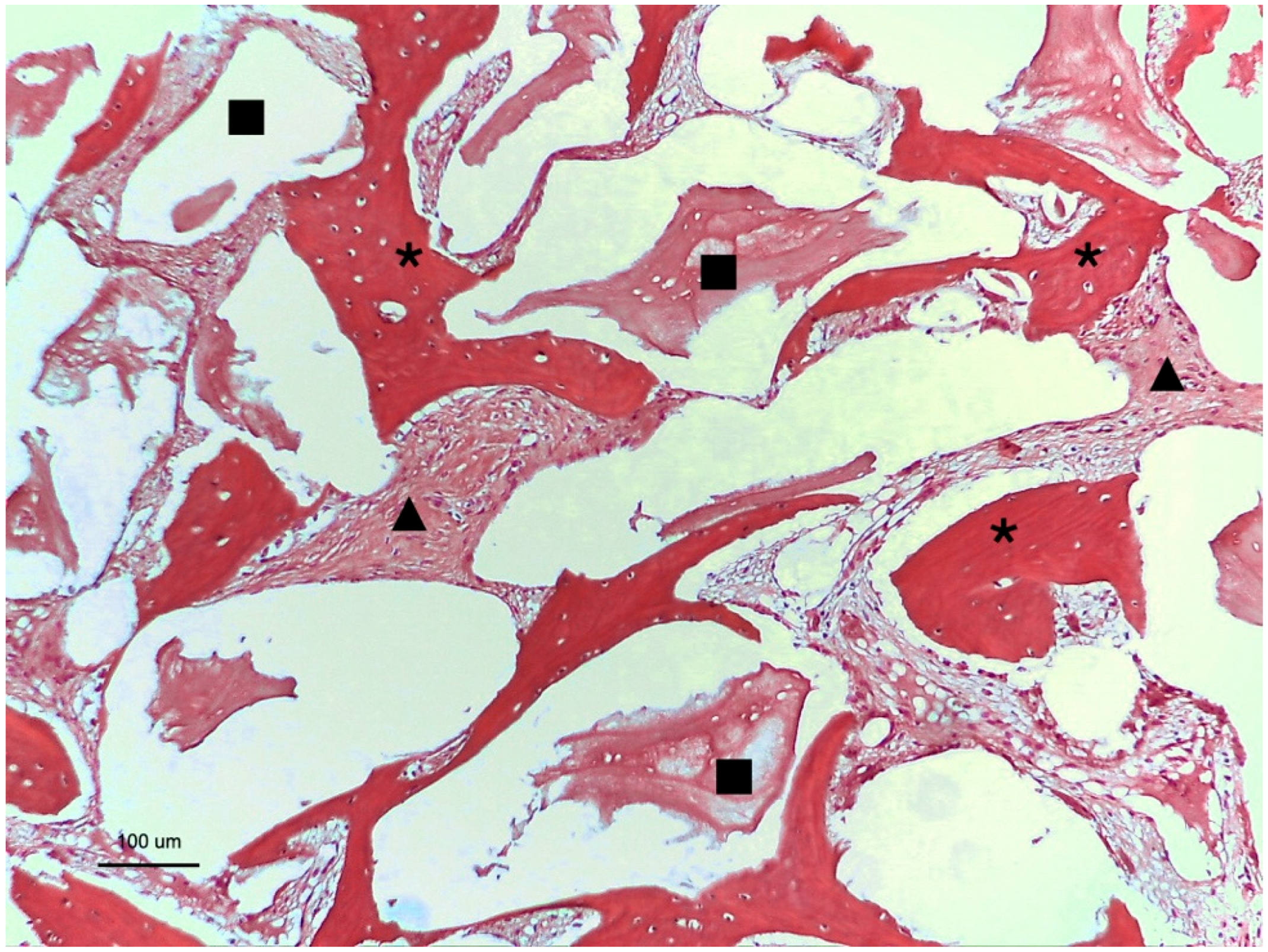 Medicina 60 01834 g003
