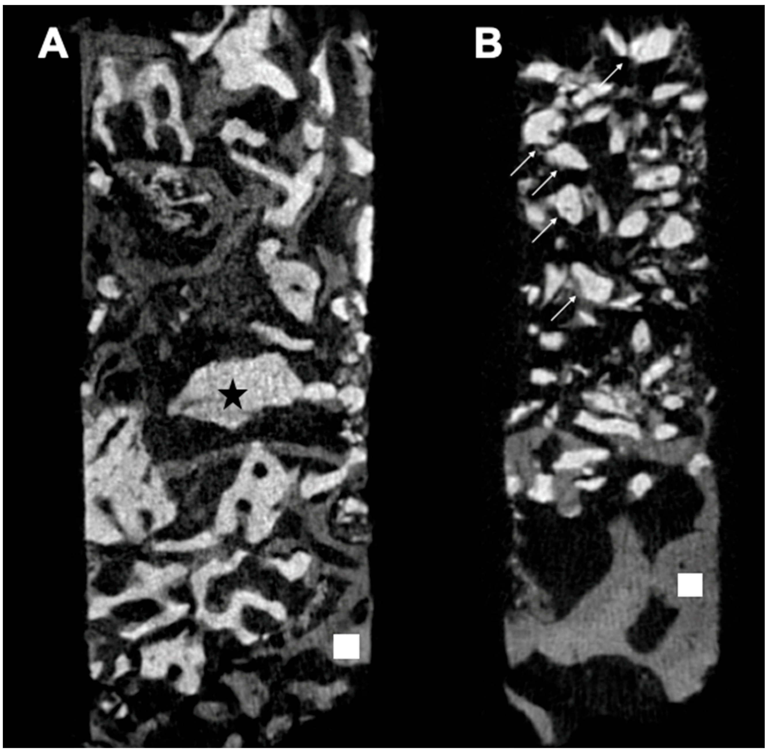 Medicina 60 01834 g005