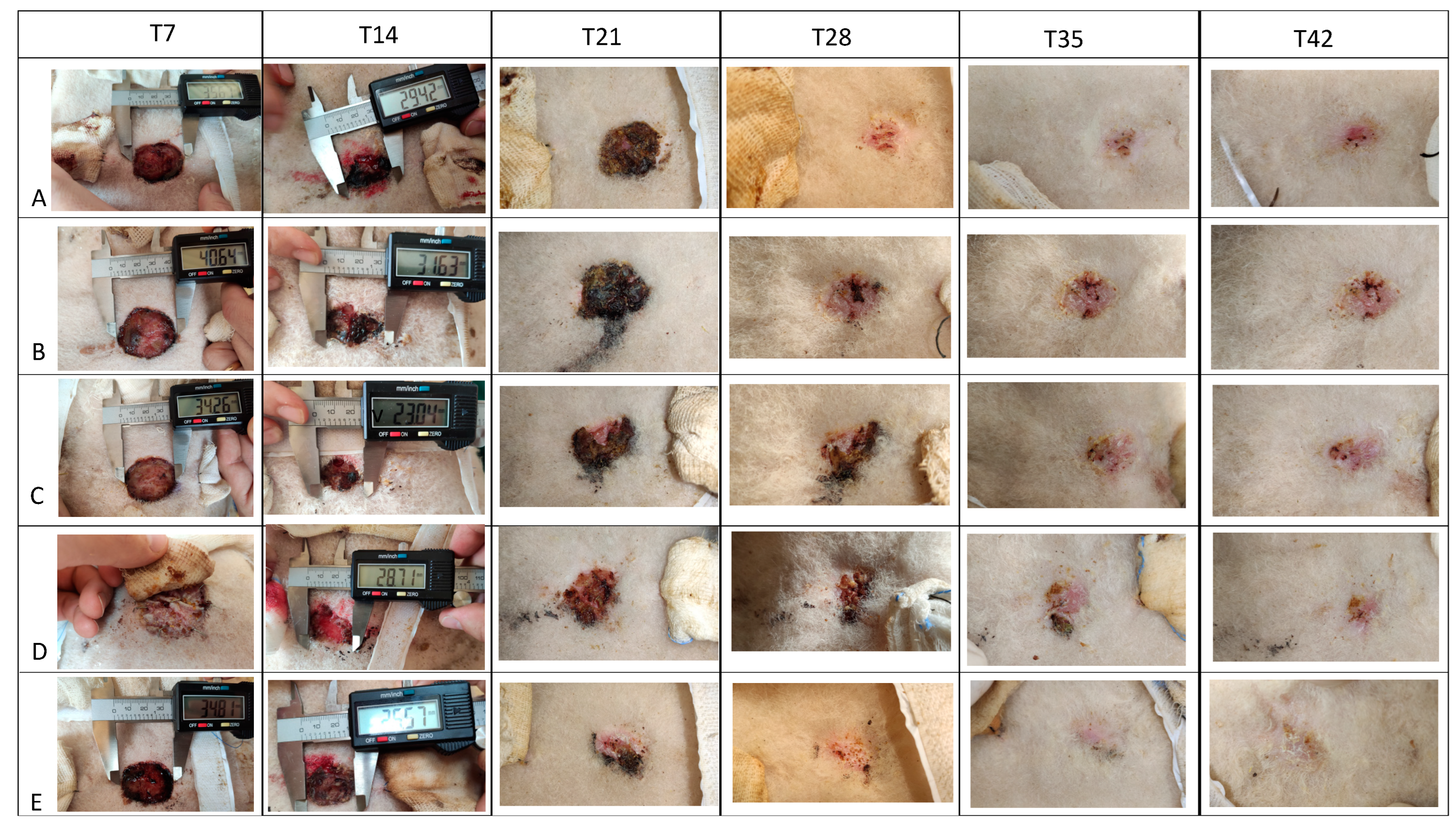 Medicina 60 01836 g004