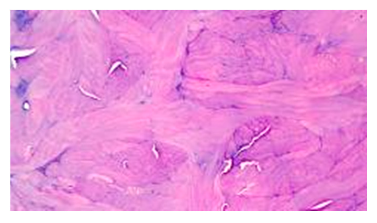 Medicina 60 01836 g007