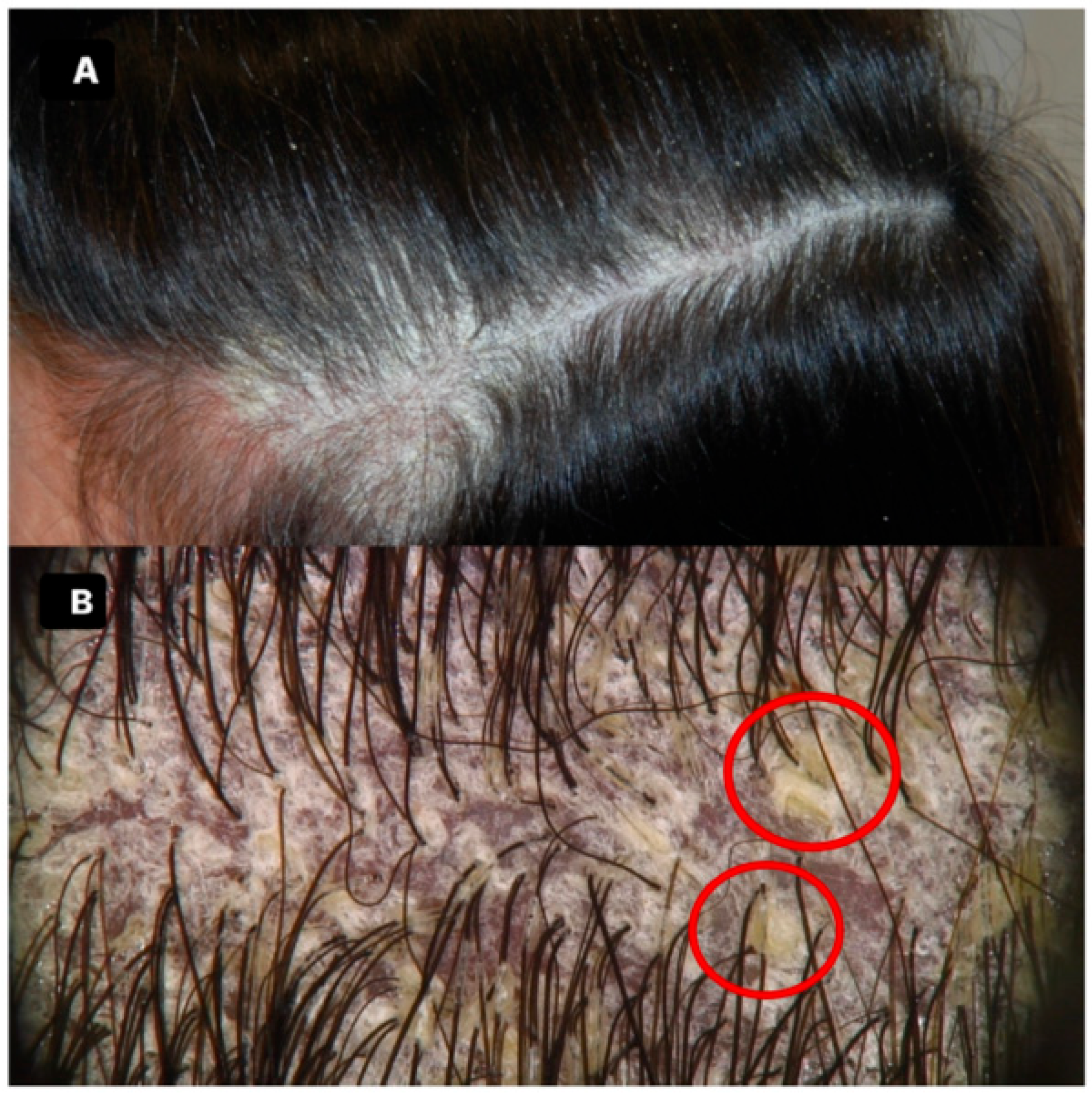 Medicina 60 01839 g001