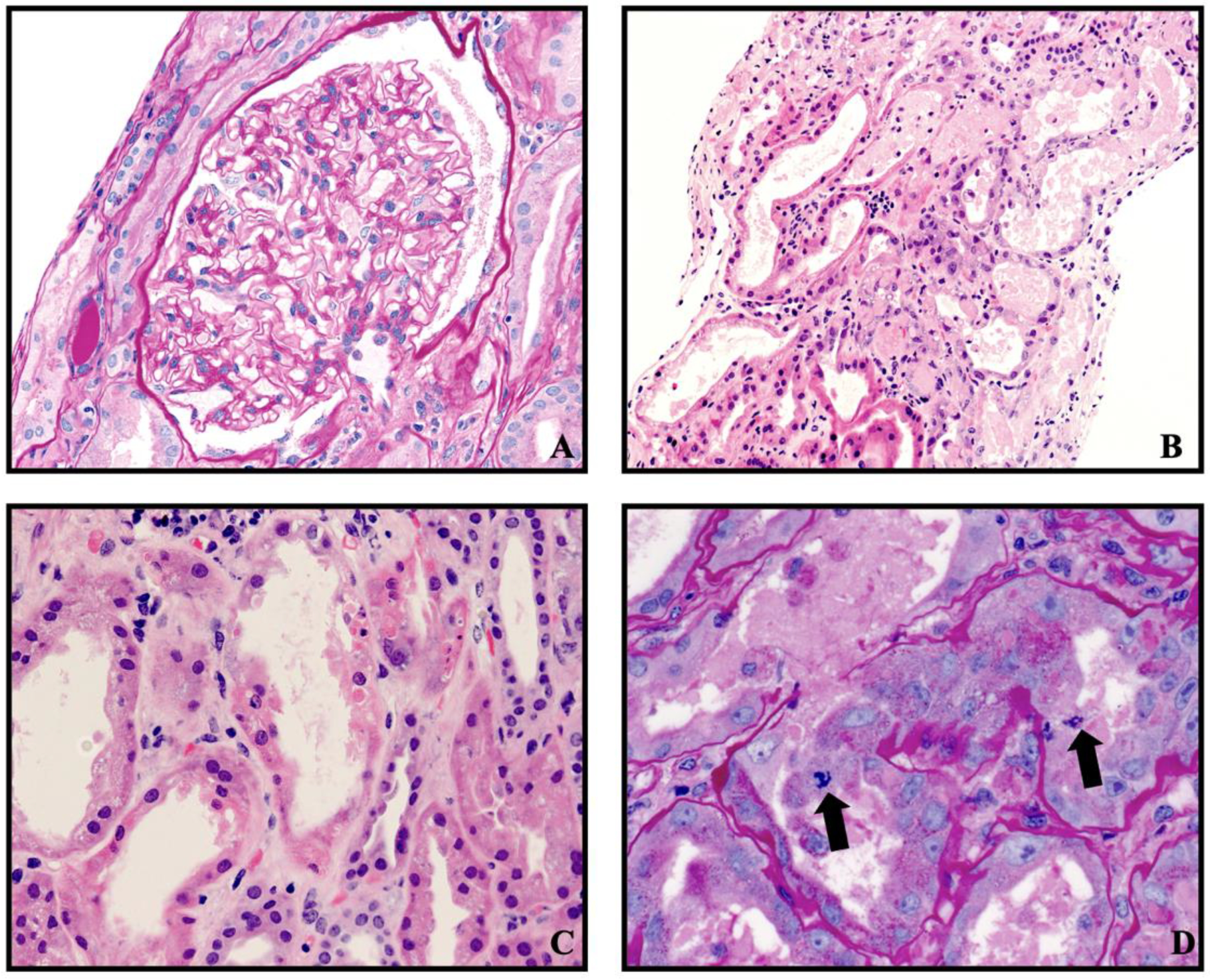 Medicina 60 01846 g001