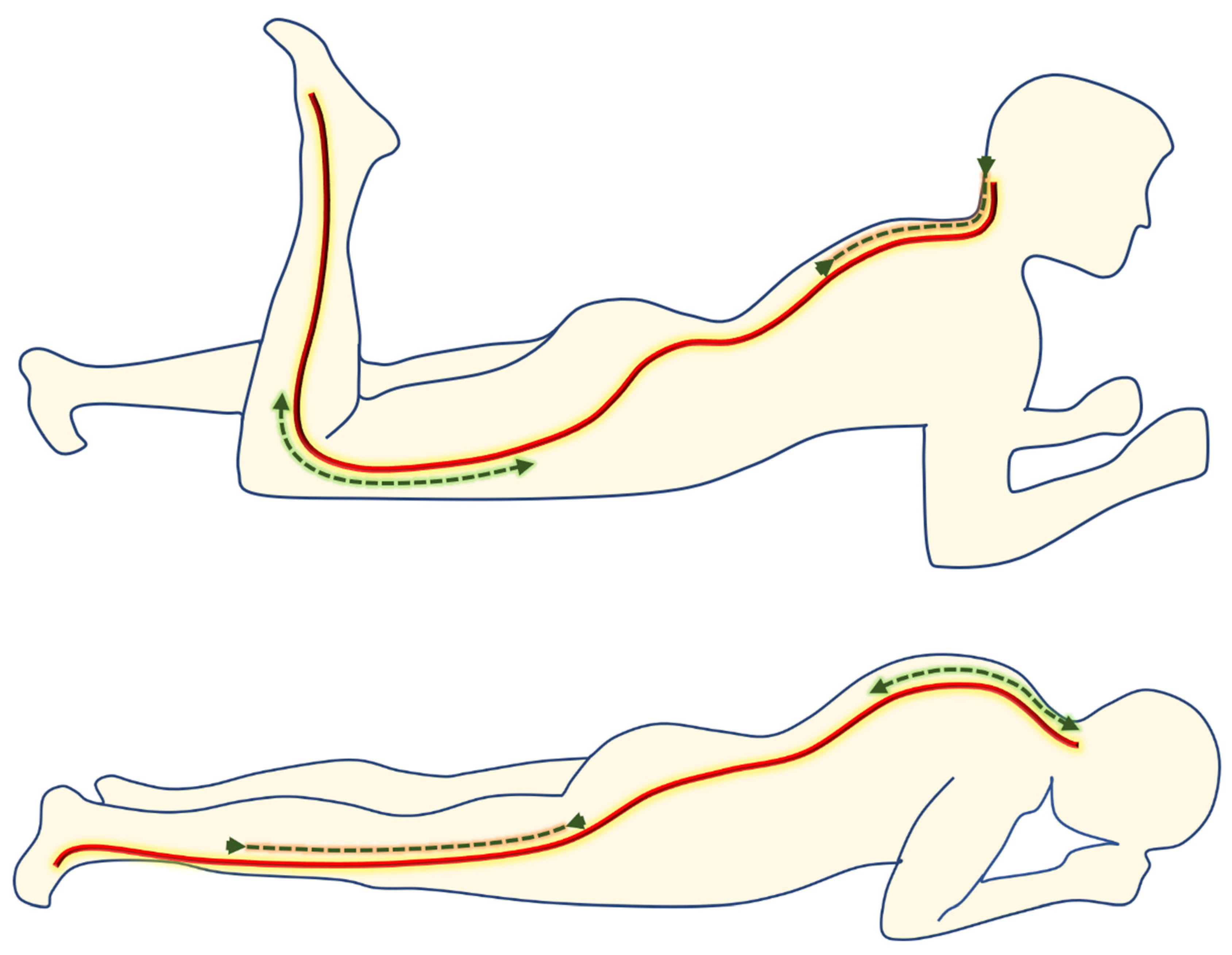 Medicina 60 01857 g001