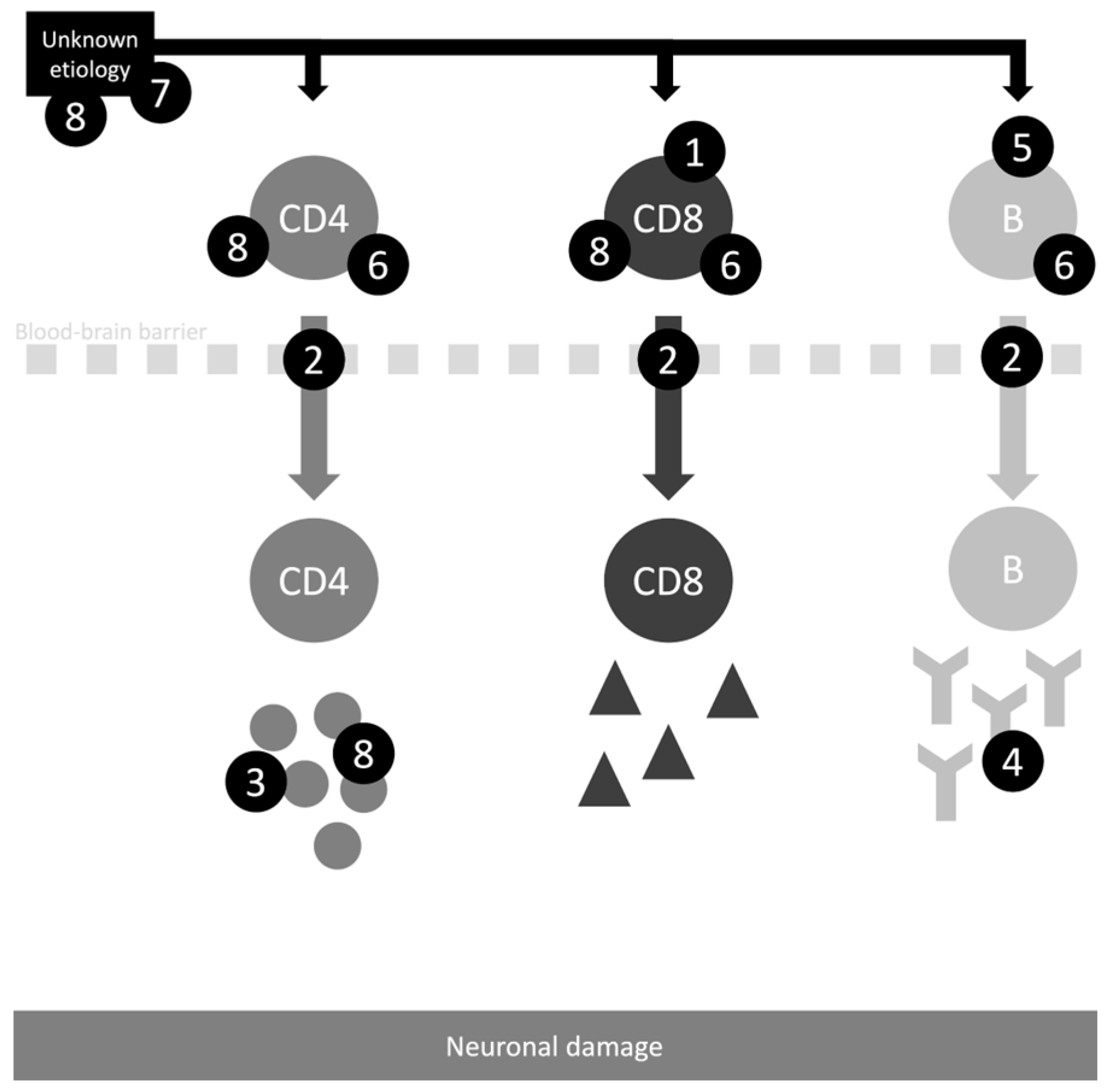 Medicina 60 01858 g002 Medicina 60 01858 g002