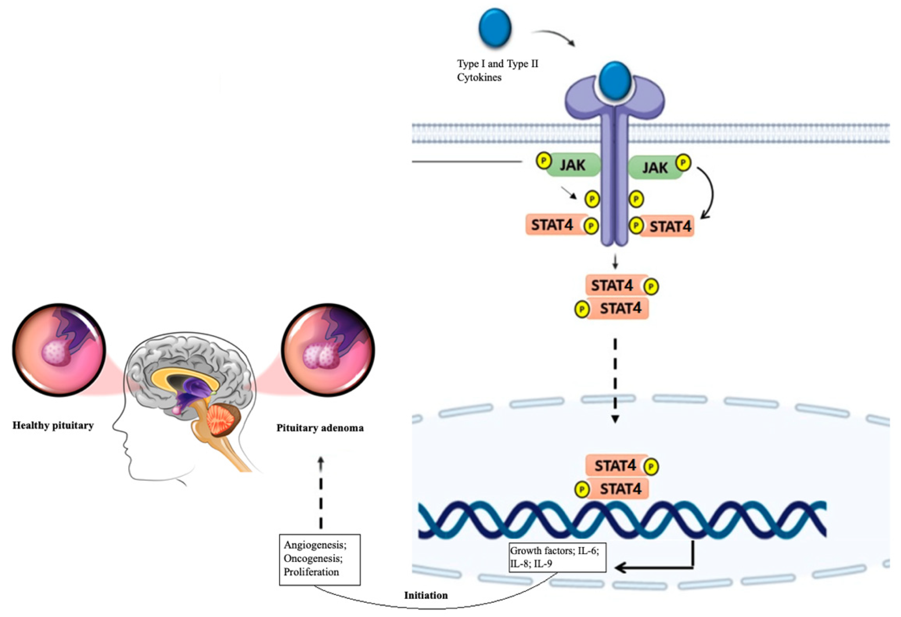 Medicina 60 01871 g001