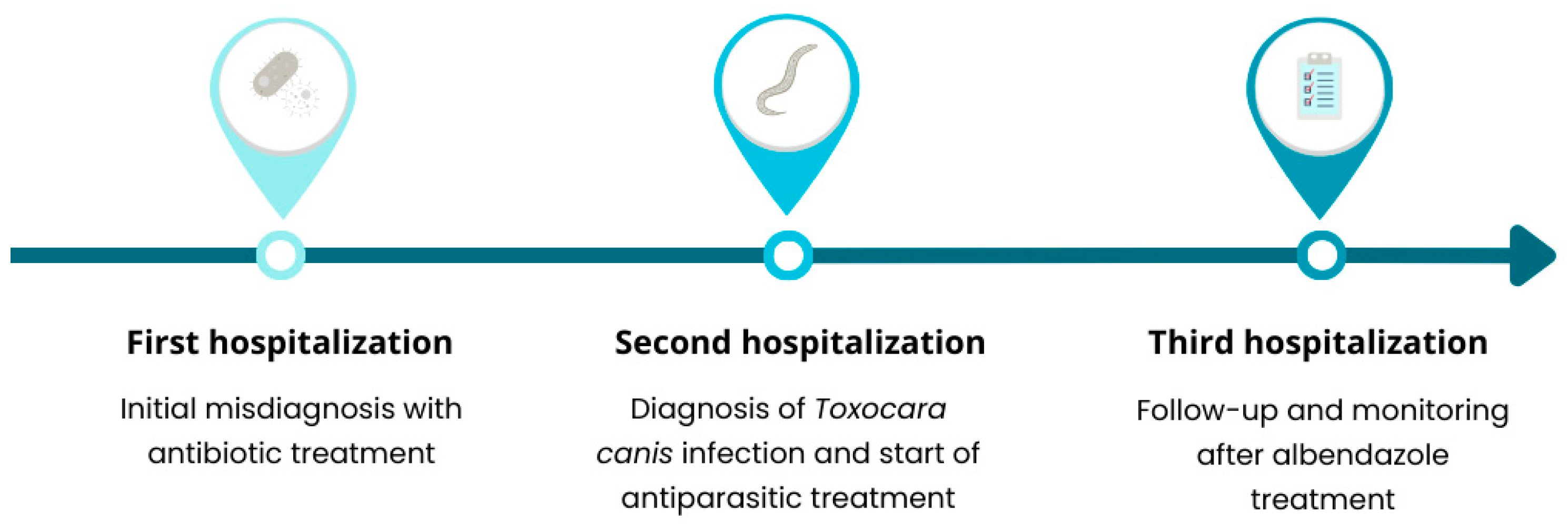 Medicina 60 01874 g003