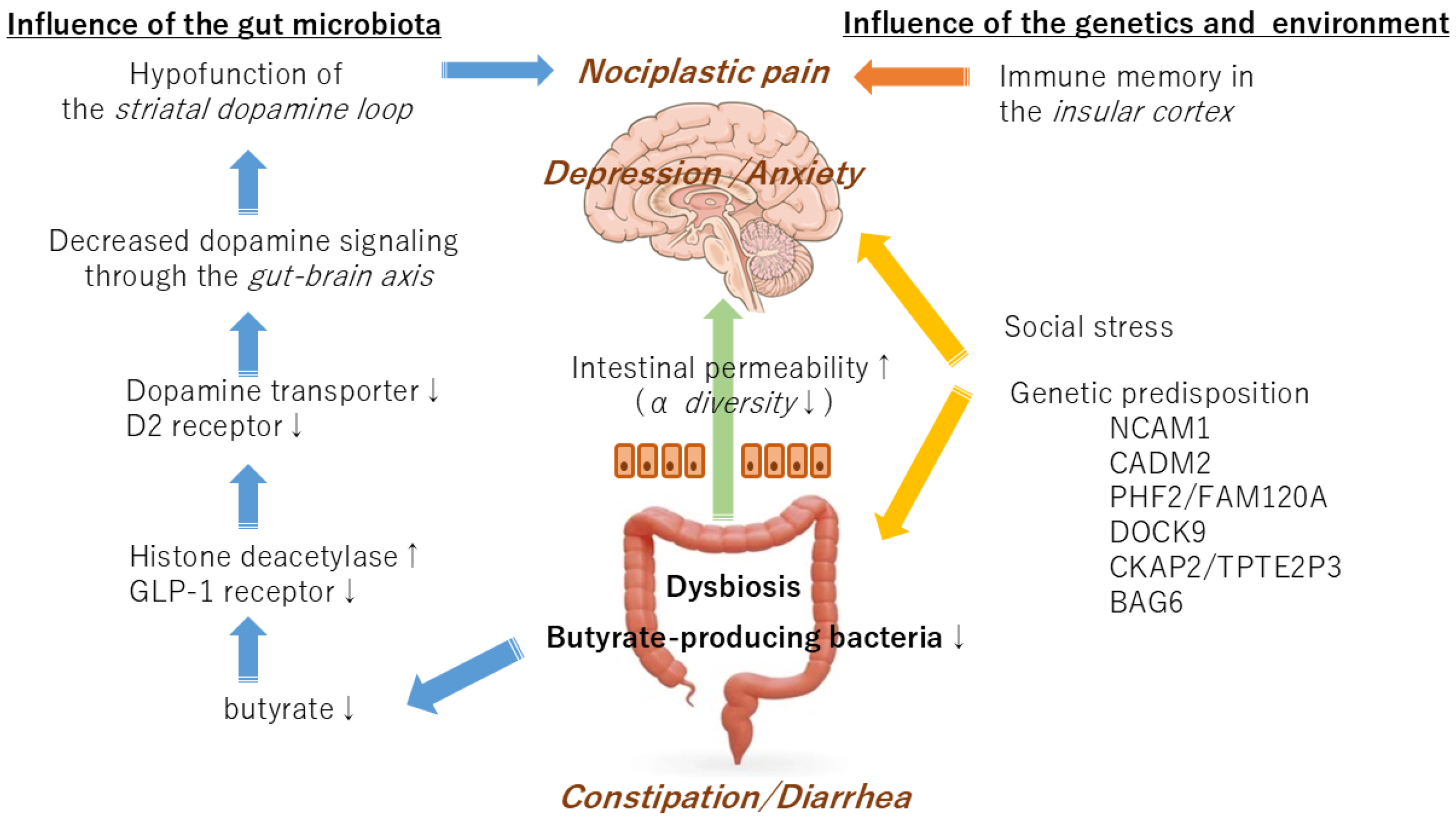 Medicina 60 01895 g002