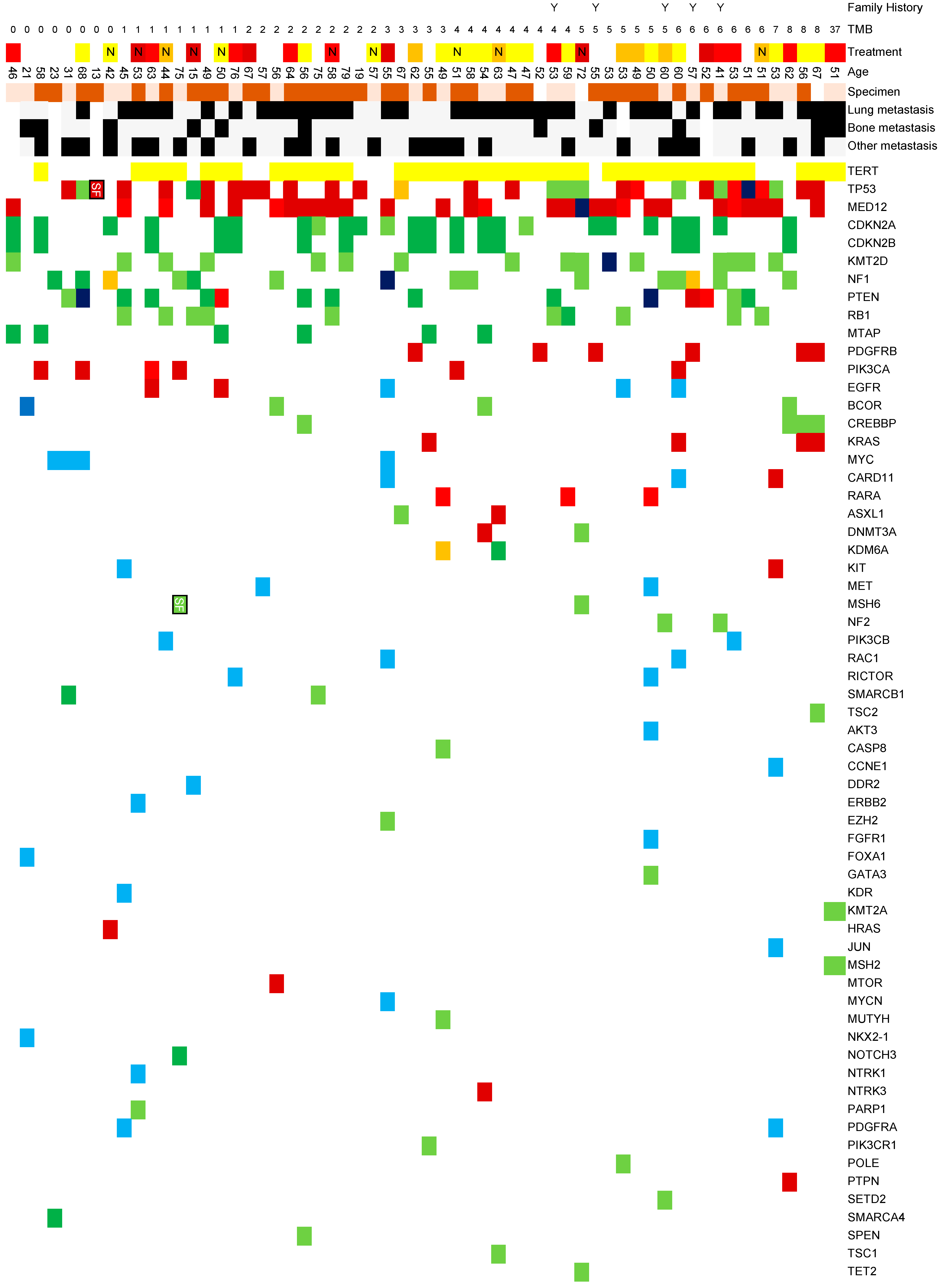 Medicina 60 01898 g001a