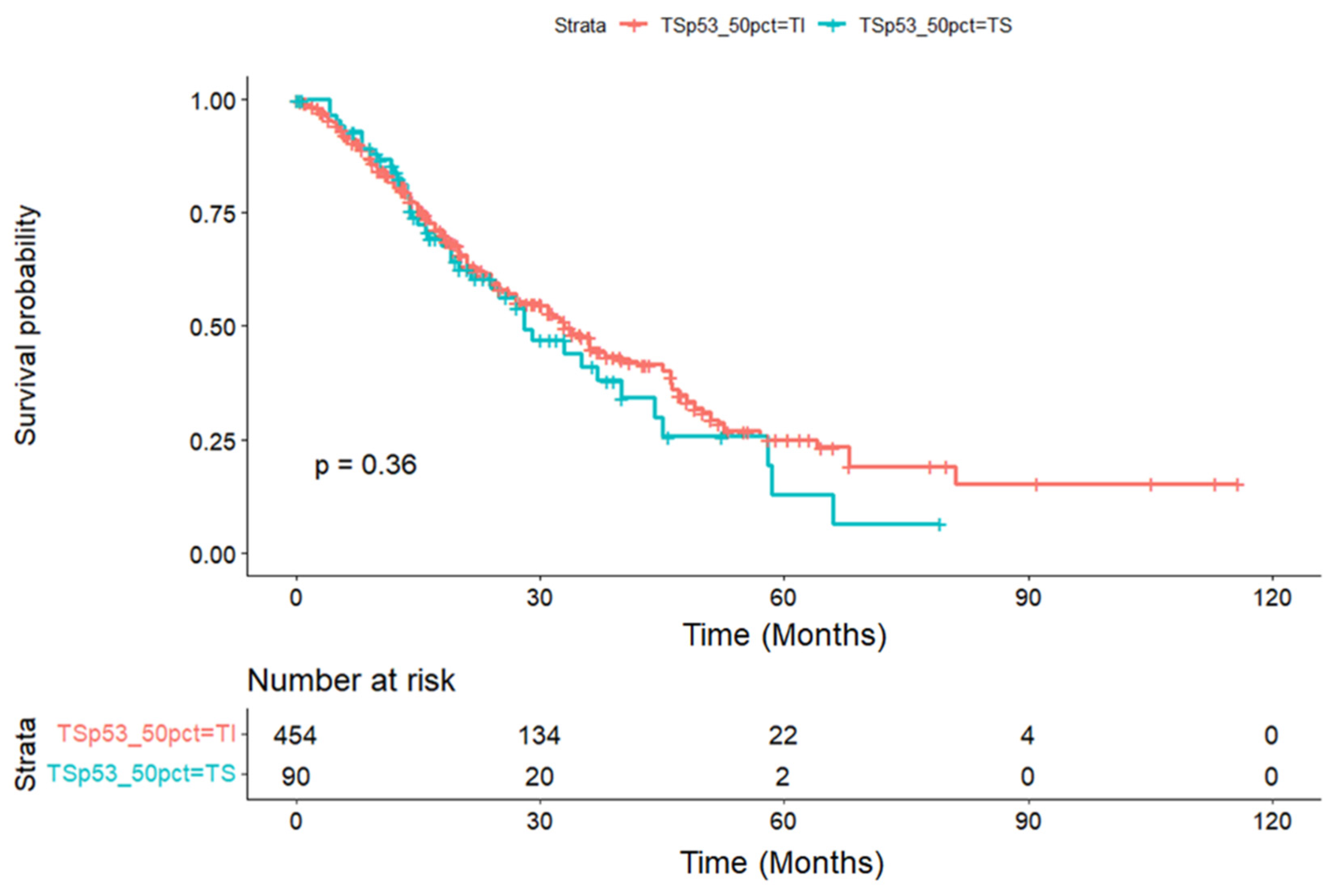 Medicina 60 01901 g001 Medicina 60 01901 g001