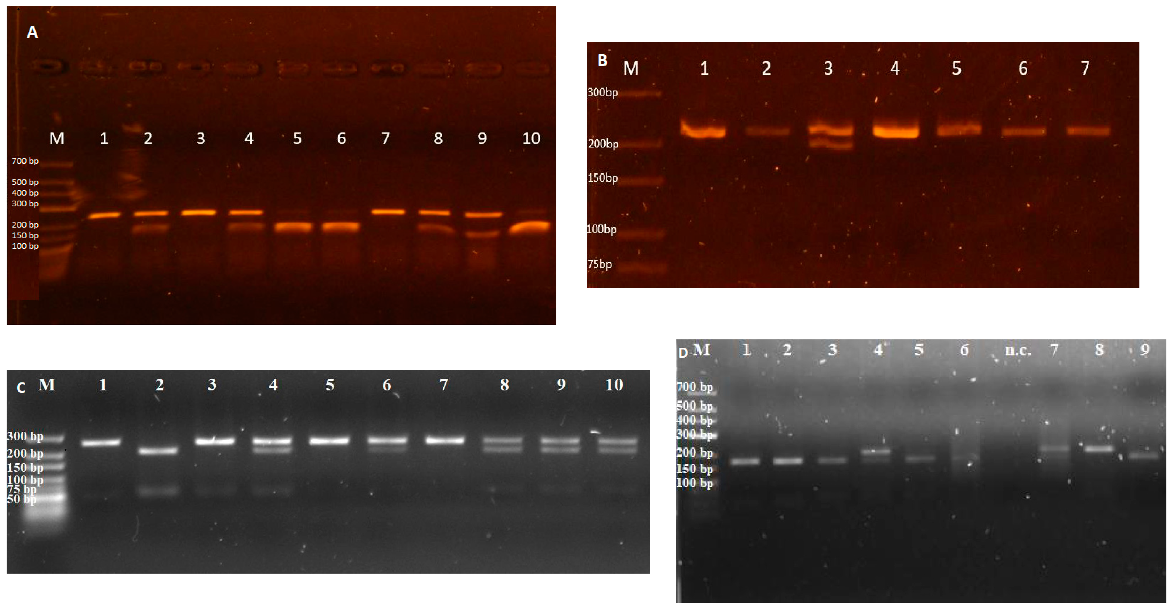 Medicina 60 01902 g001