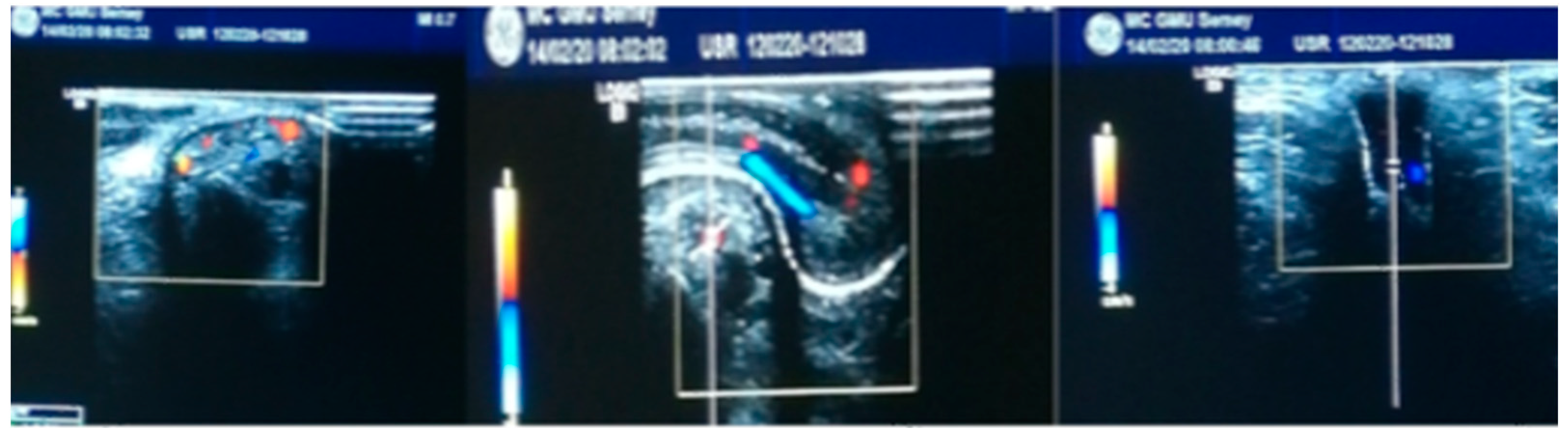 Medicina 60 01903 g001