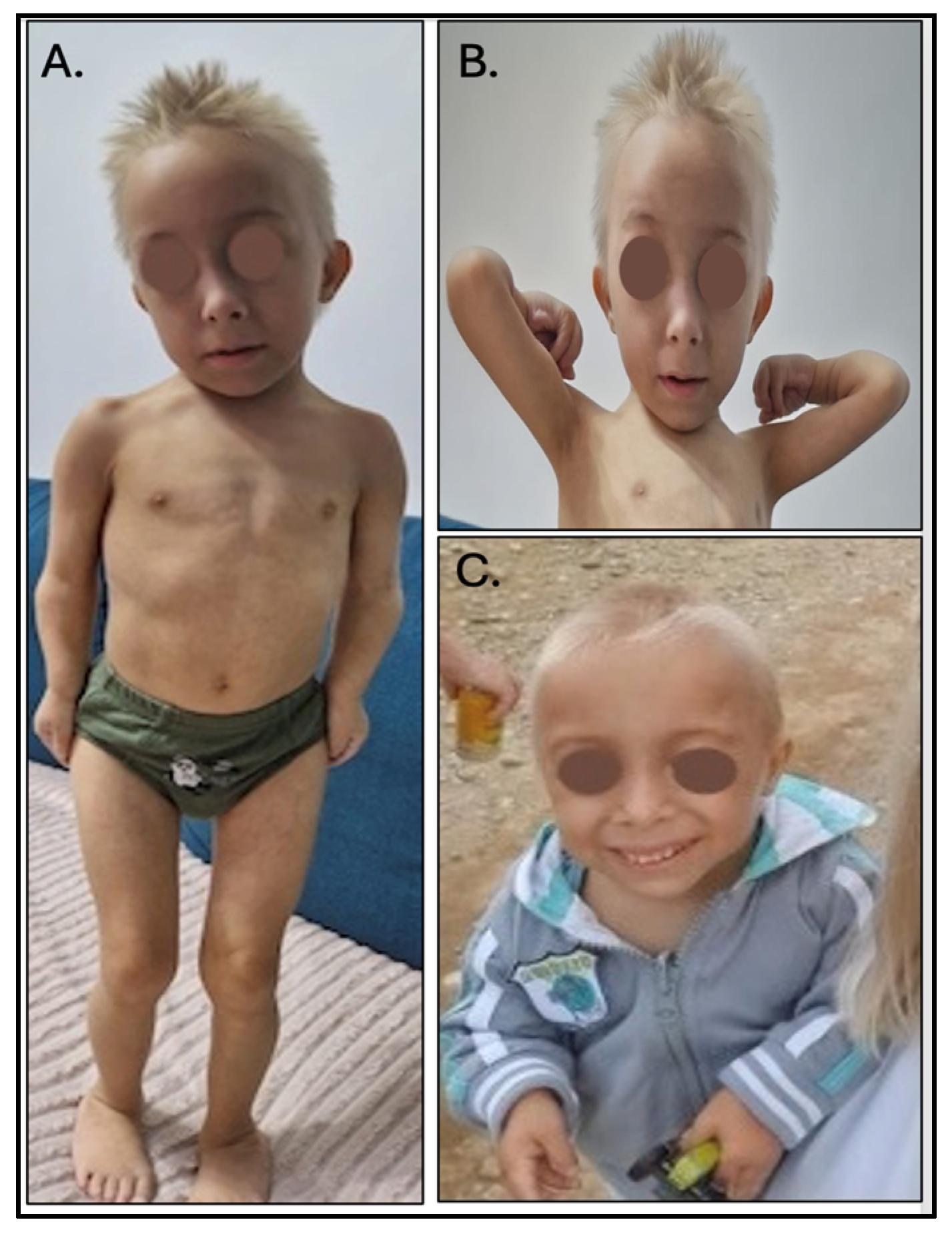 Medicina 60 01906 g001