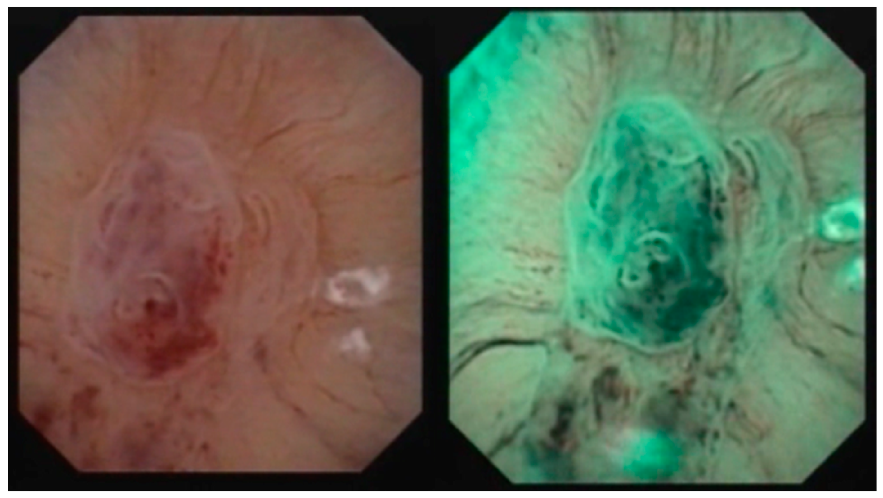 Medicina 60 01911 g001