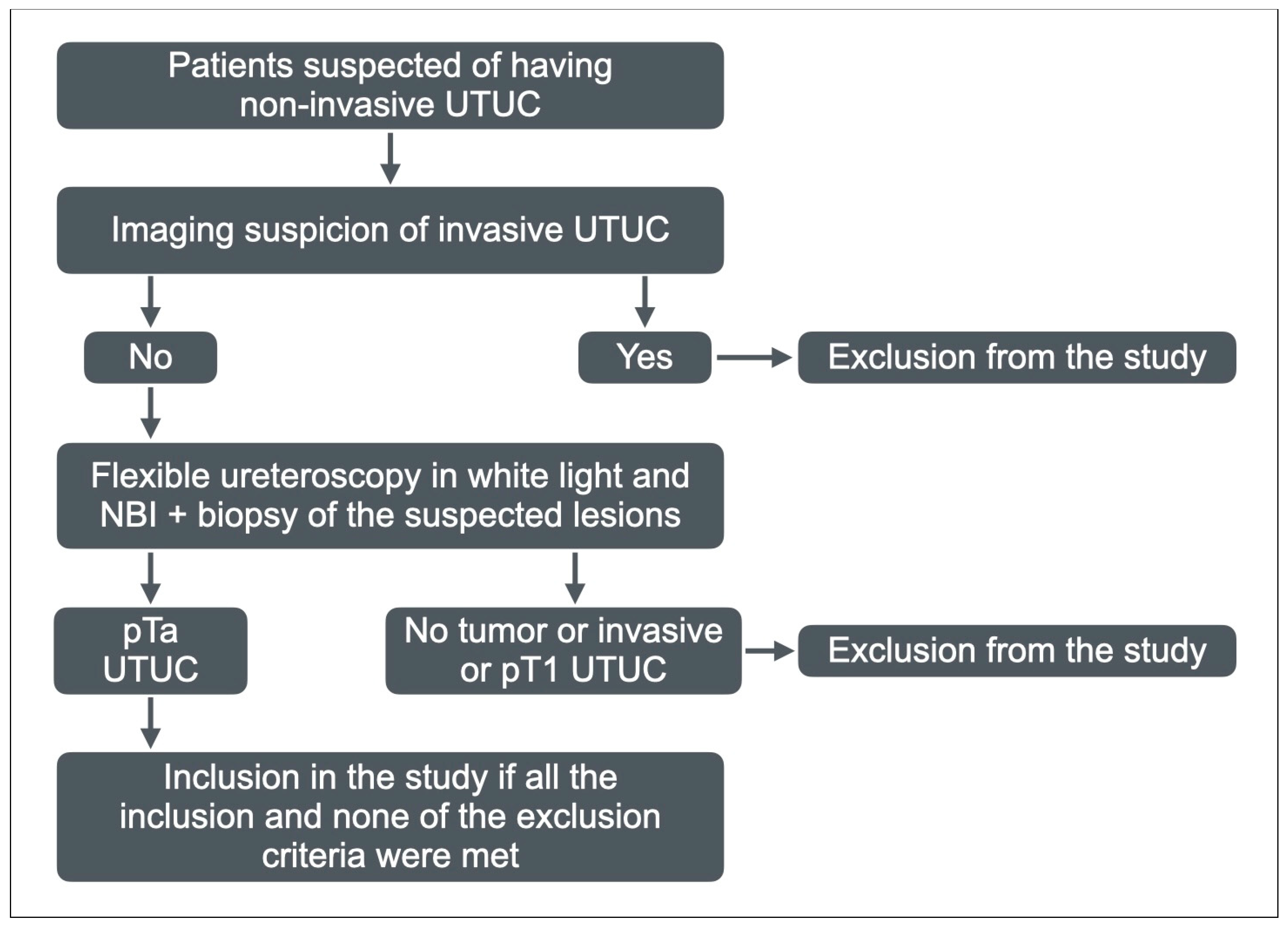Medicina 60 01911 g003