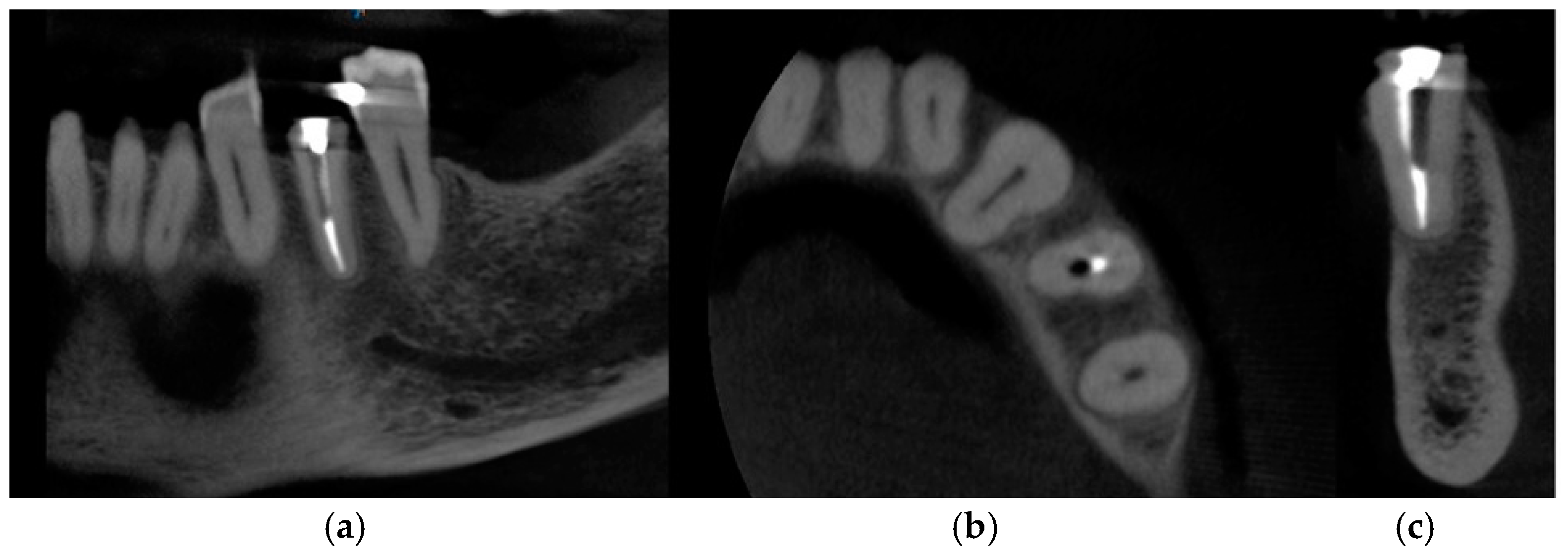 Medicina 60 01912 g001