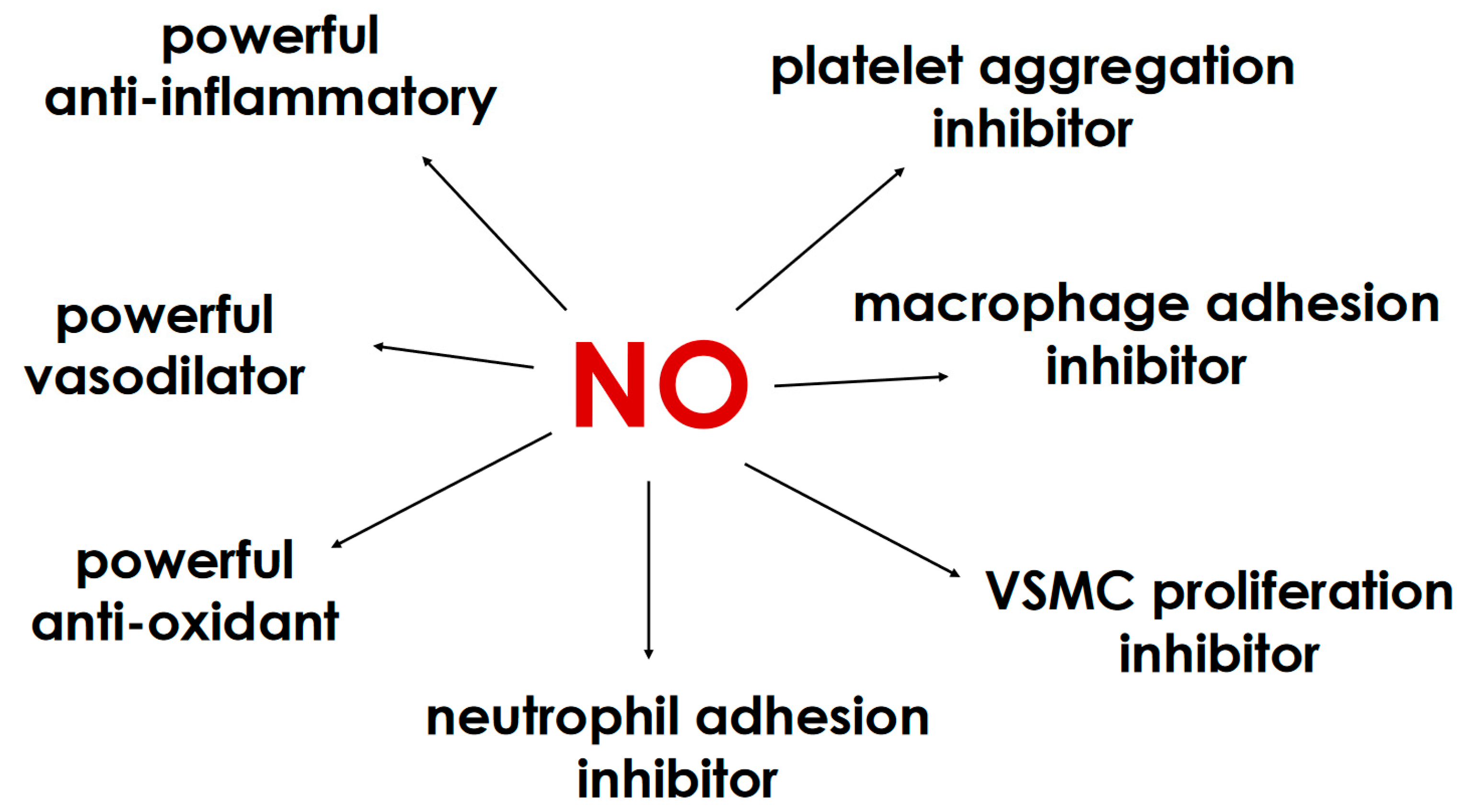 Medicina 60 01915 g001