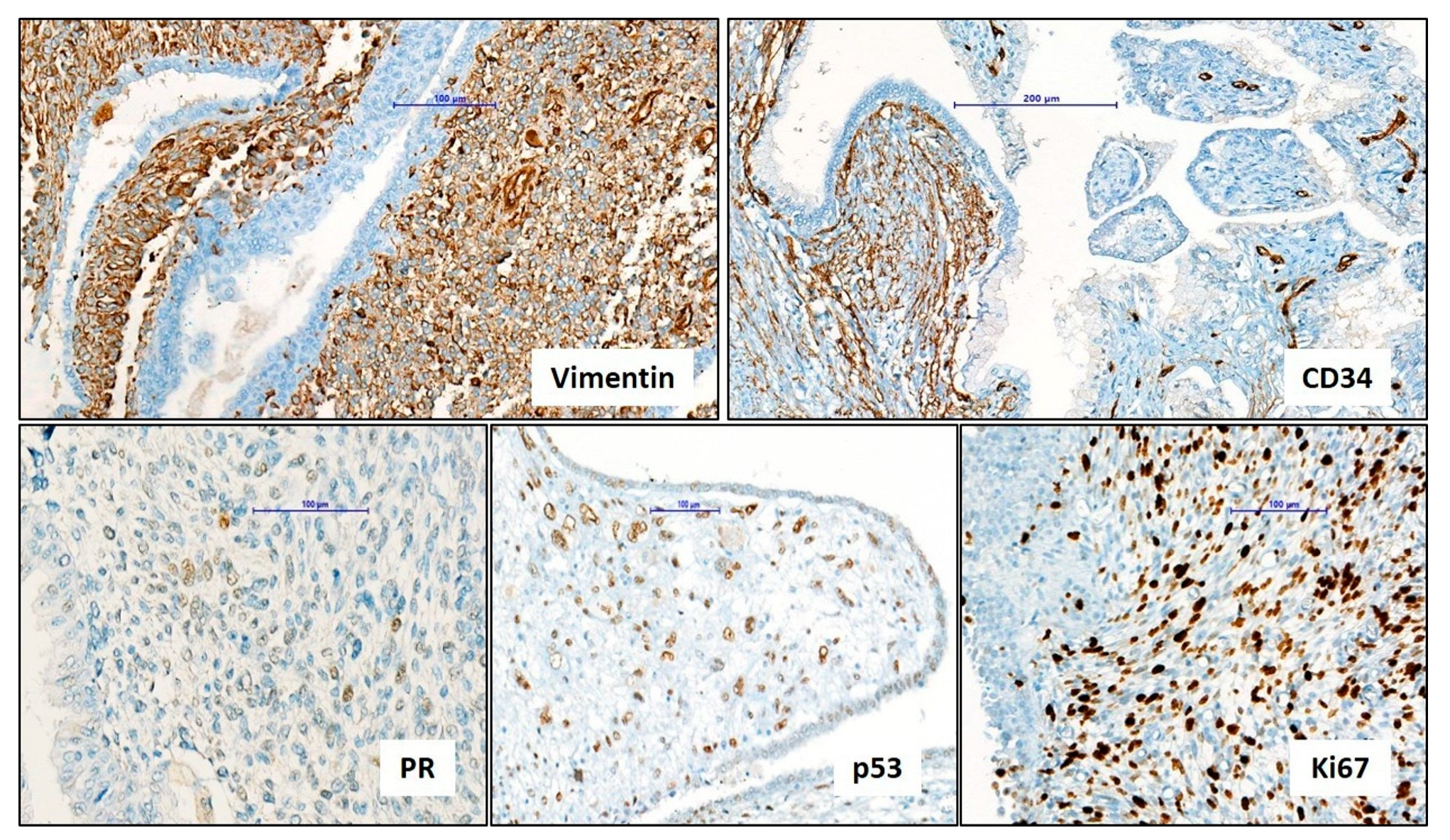 Medicina 60 01918 g003