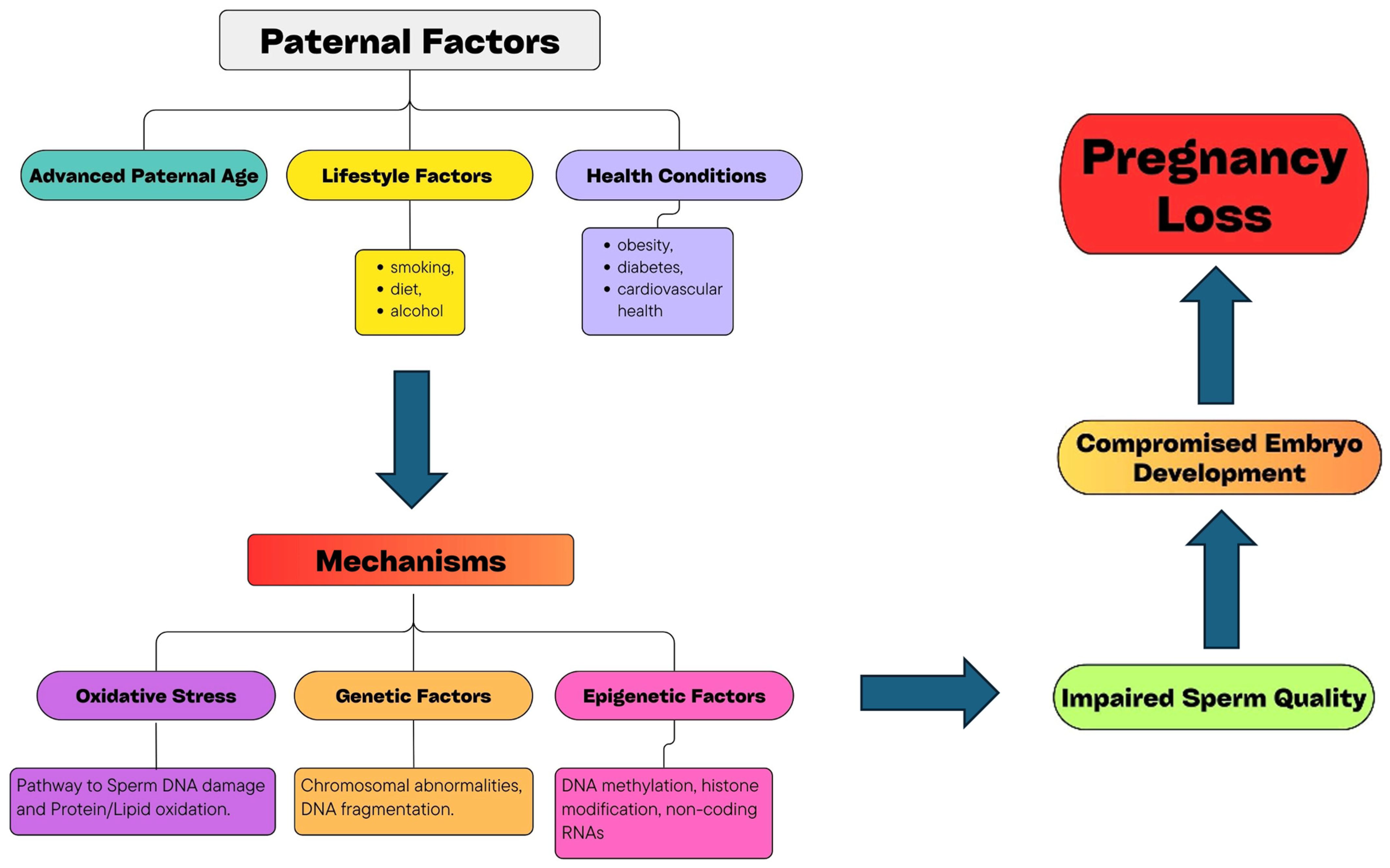 Medicina 60 01920 g001