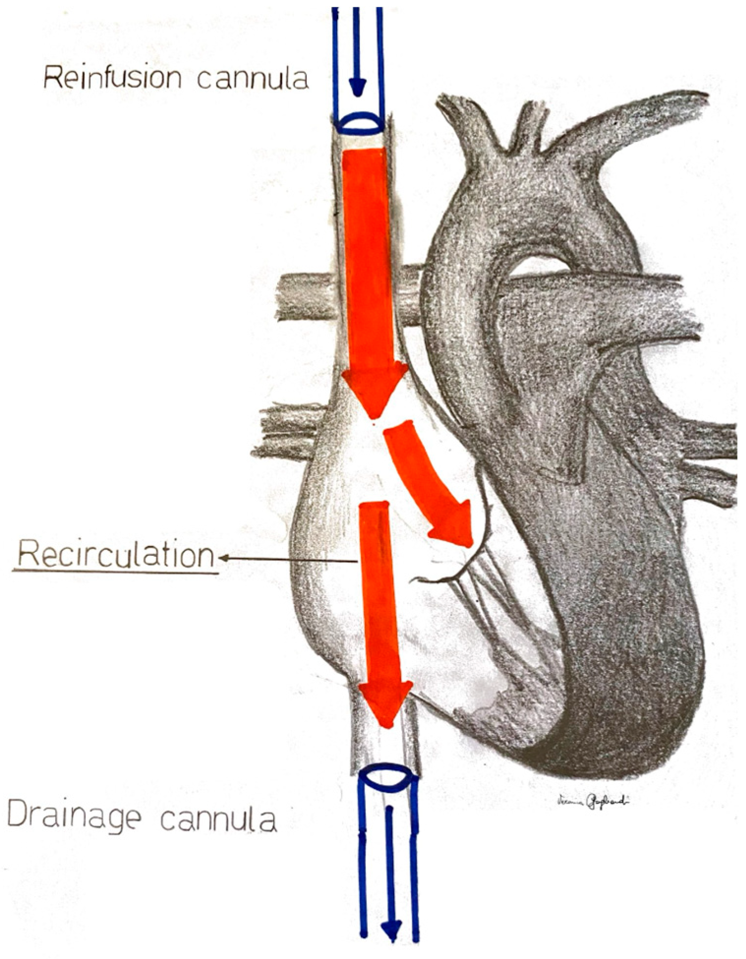 Medicina 60 01936 g001
