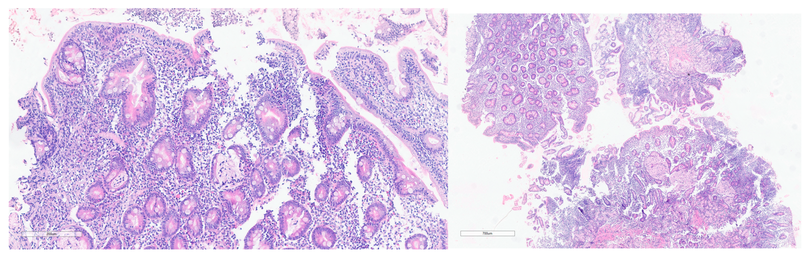 Medicina 60 01940 g001