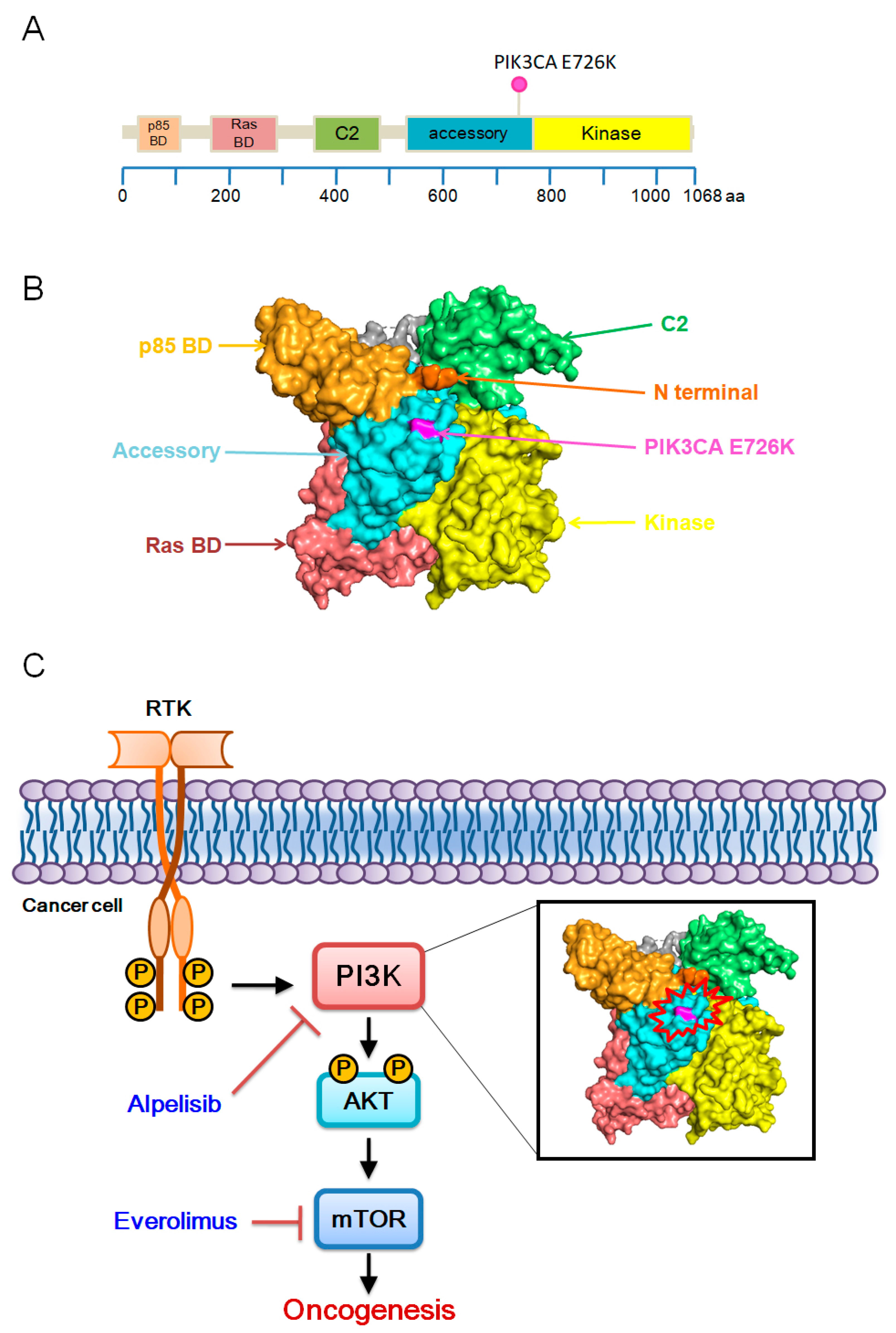 Medicina 60 01946 g001