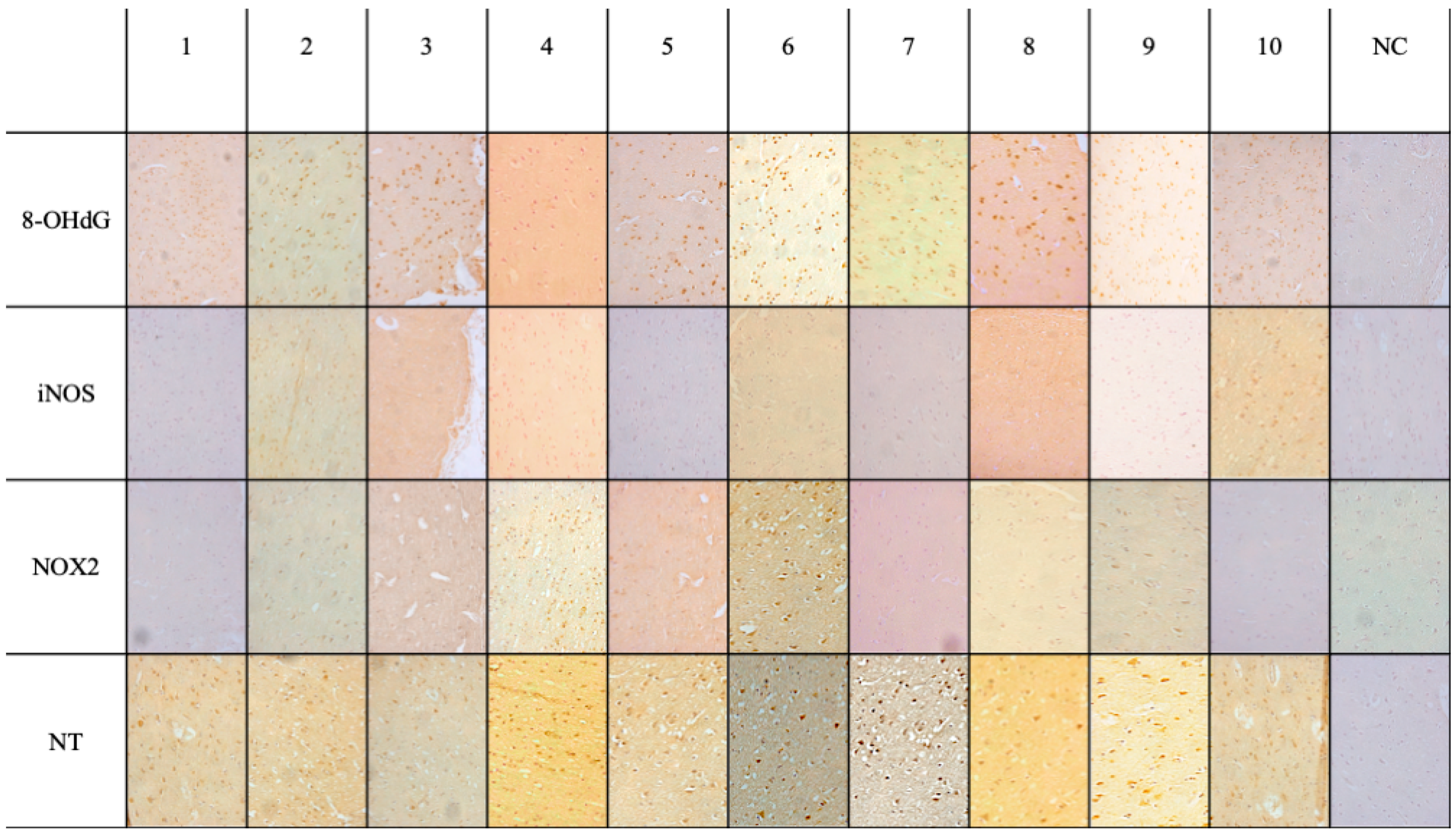 Medicina 60 01949 g001