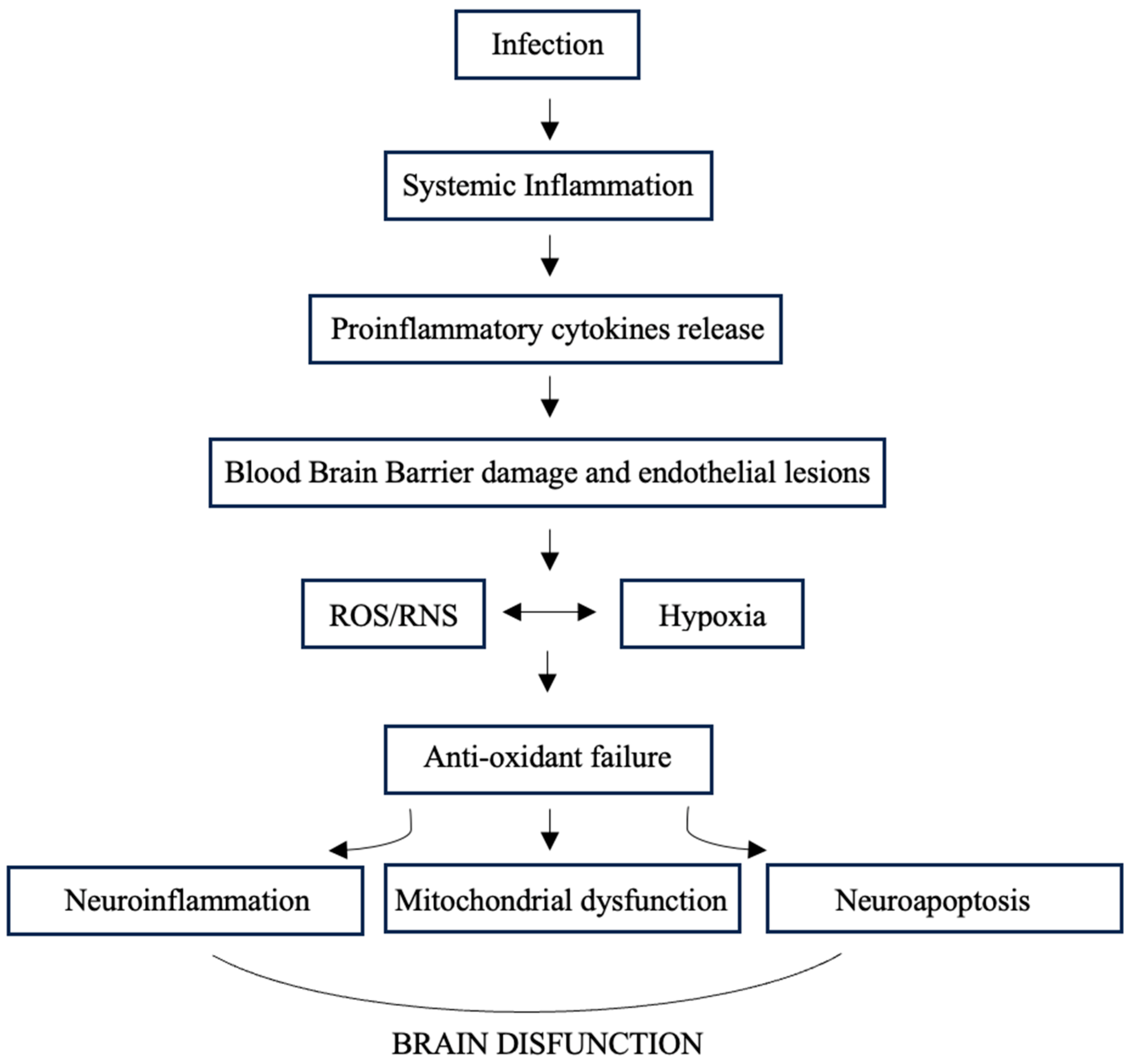 Medicina 60 01949 g002