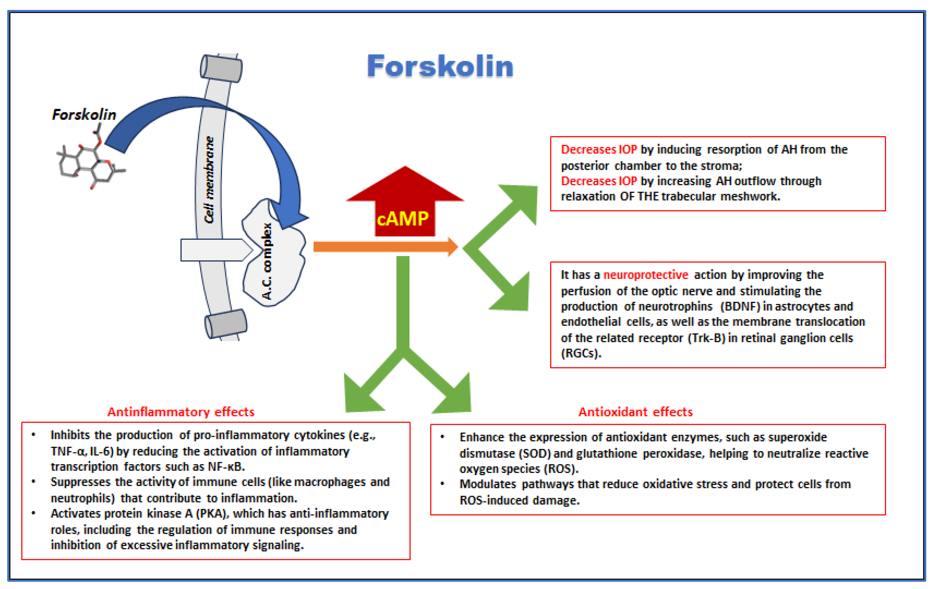 Medicina 60 01957 g004