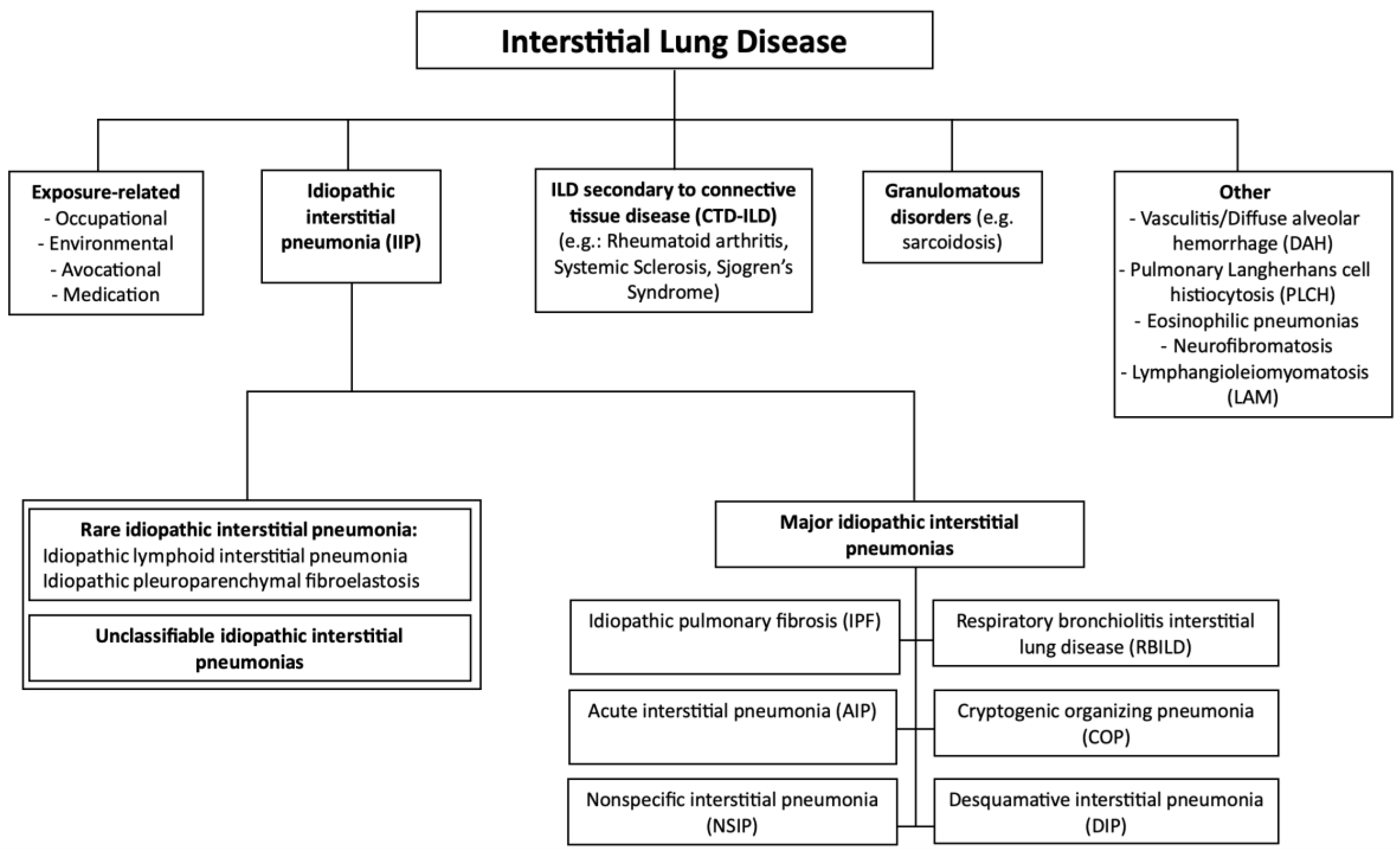 Medicina 60 01967 g001