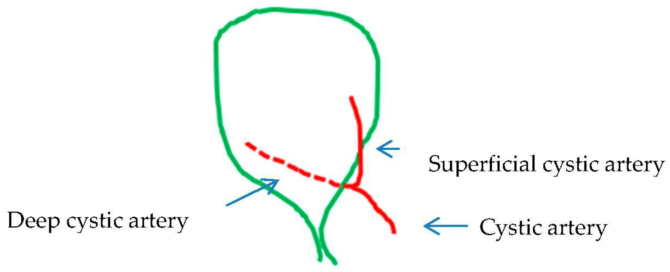 Medicina 60 01968 g002