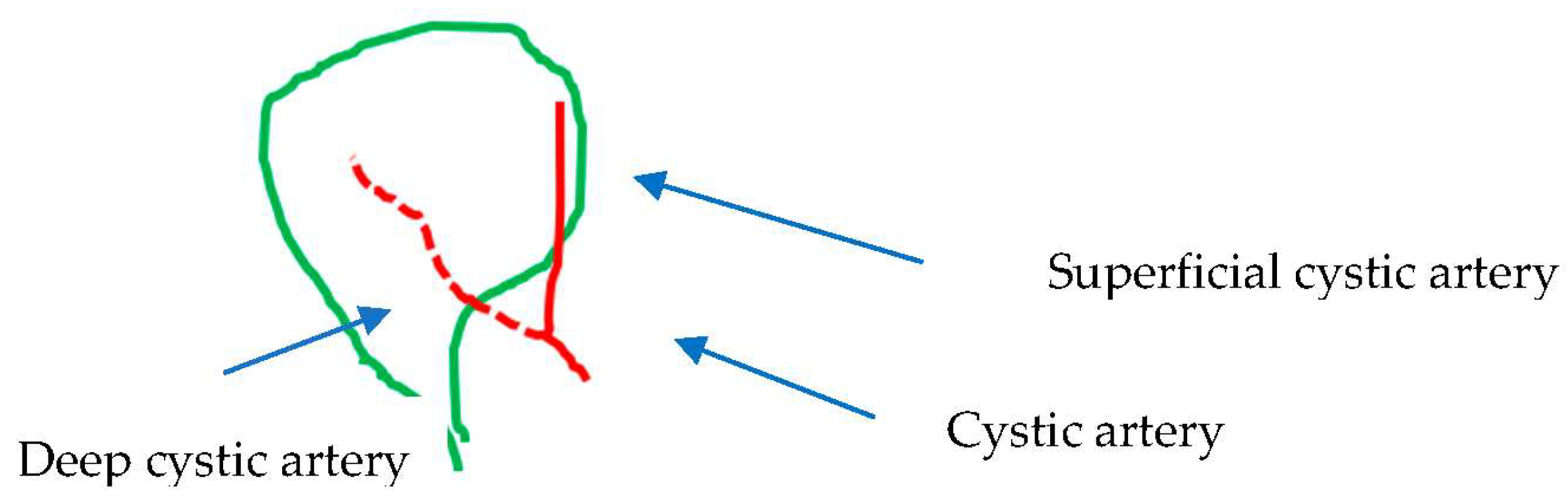 Medicina 60 01968 g003