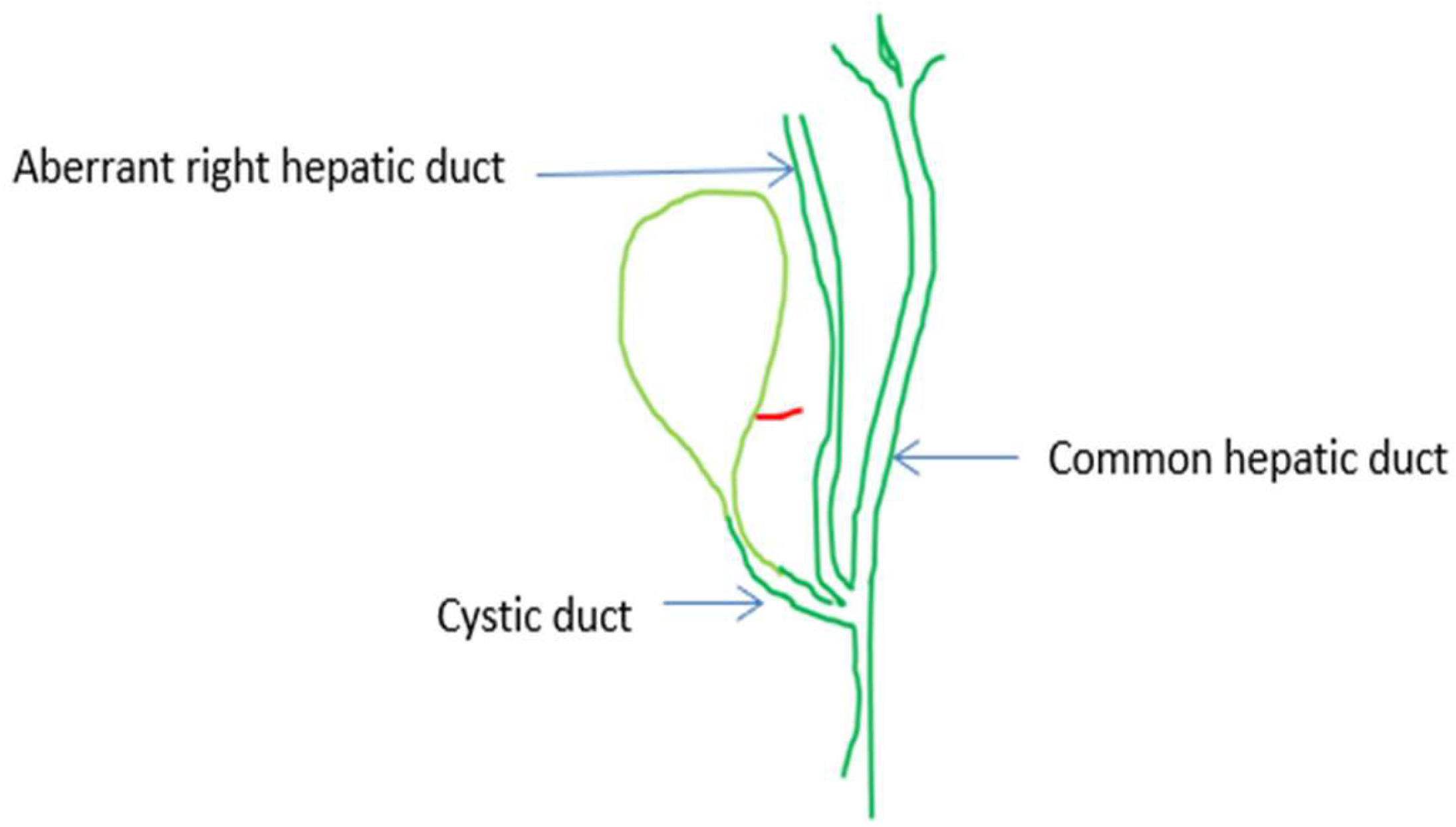 Medicina 60 01968 g006