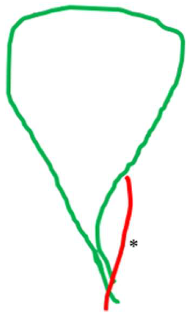 Medicina 60 01968 g007