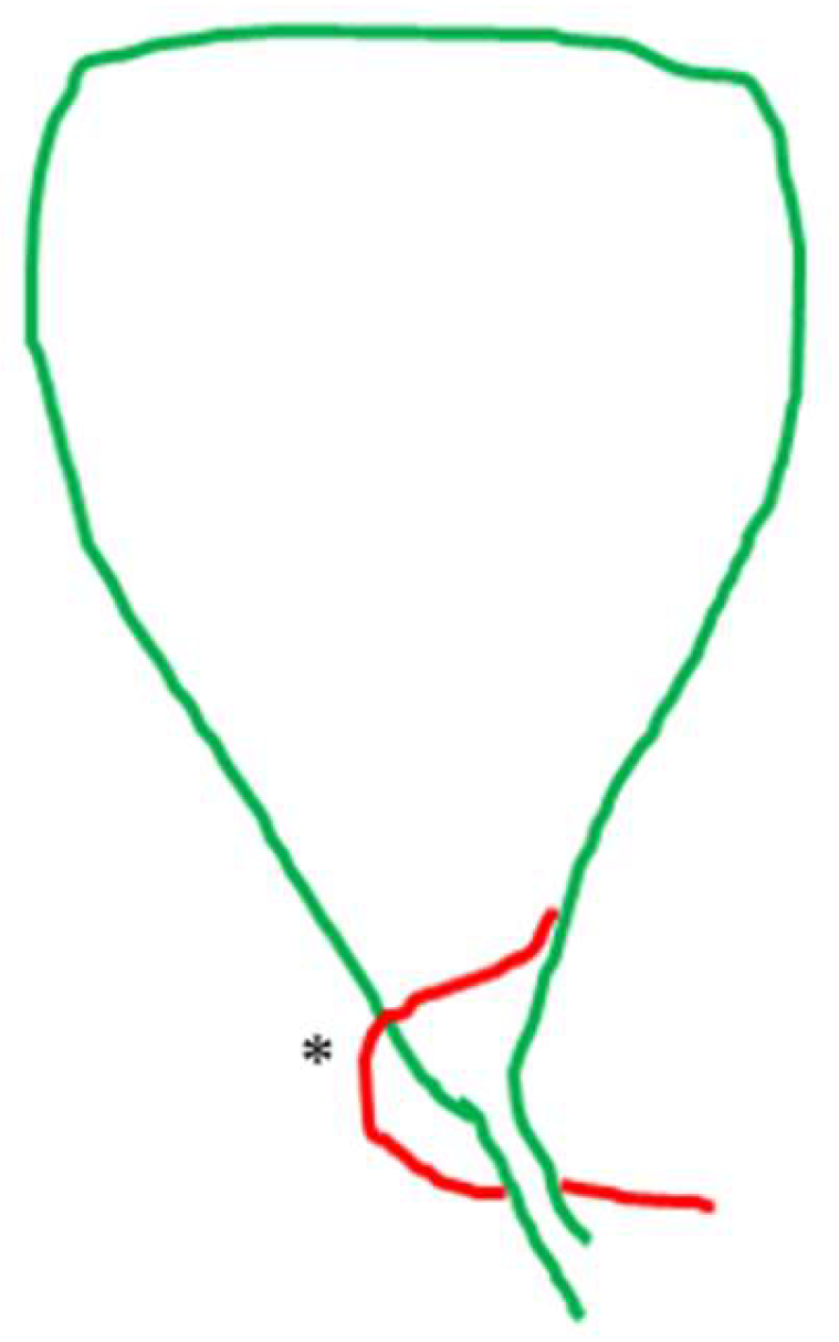 Medicina 60 01968 g008